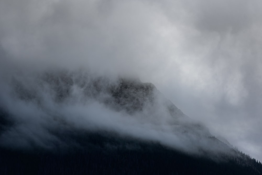 Brouillard blanc près de Brown Mountain