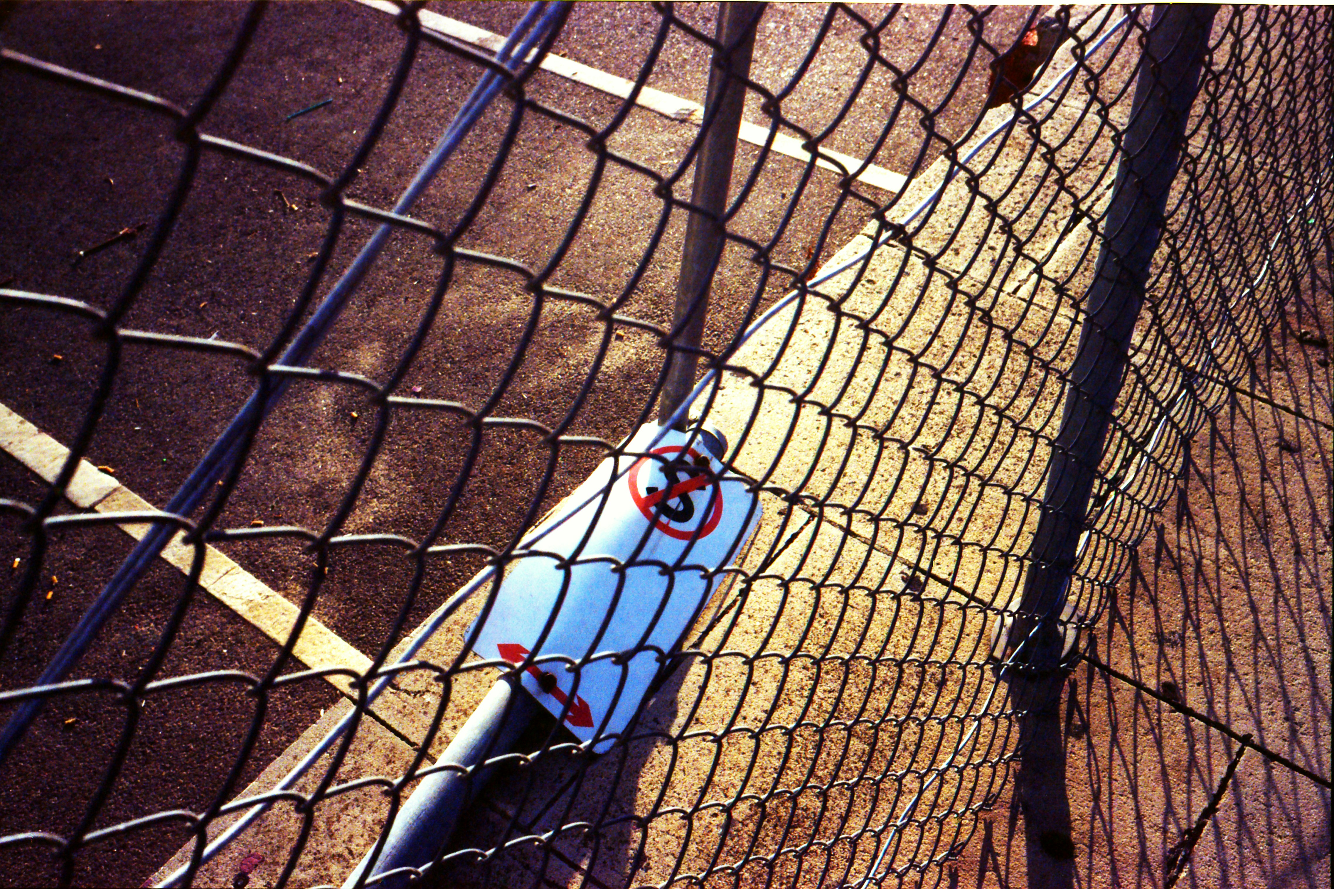 Free Unsplash photo from Toro Elmar