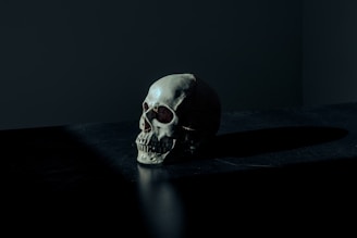 white and black skull figurine on black surface