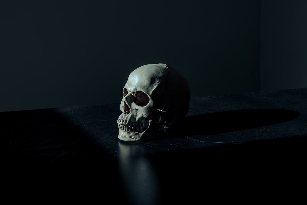 white and black skull figurine on black surface