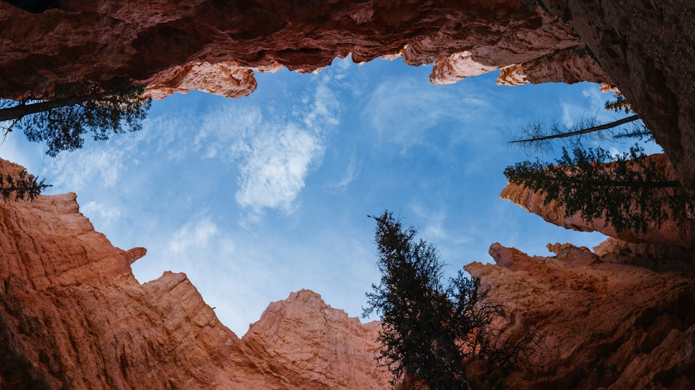 low-angle photography brown cave