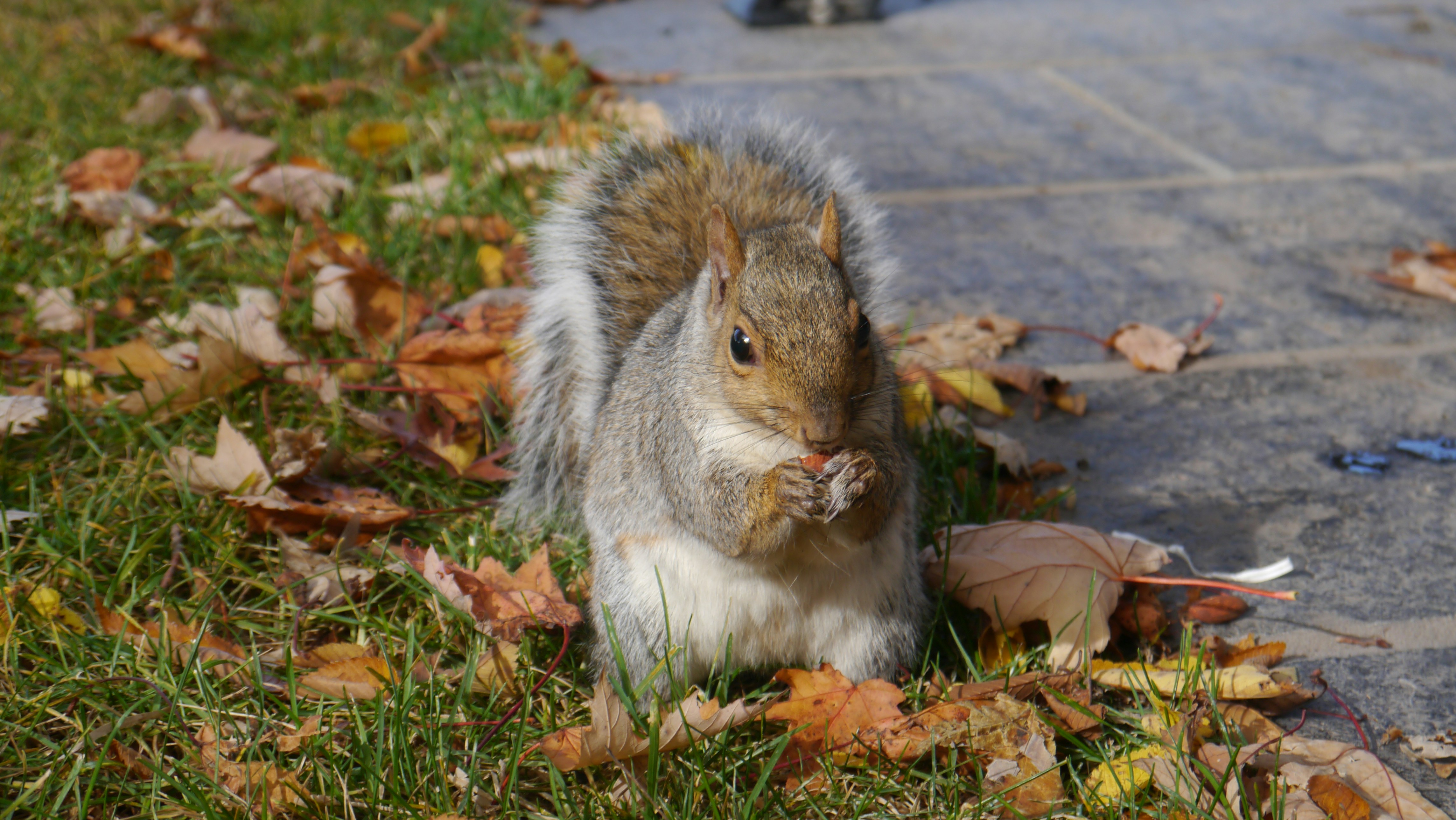 Free Unsplash photo from Hanna Loschacoff