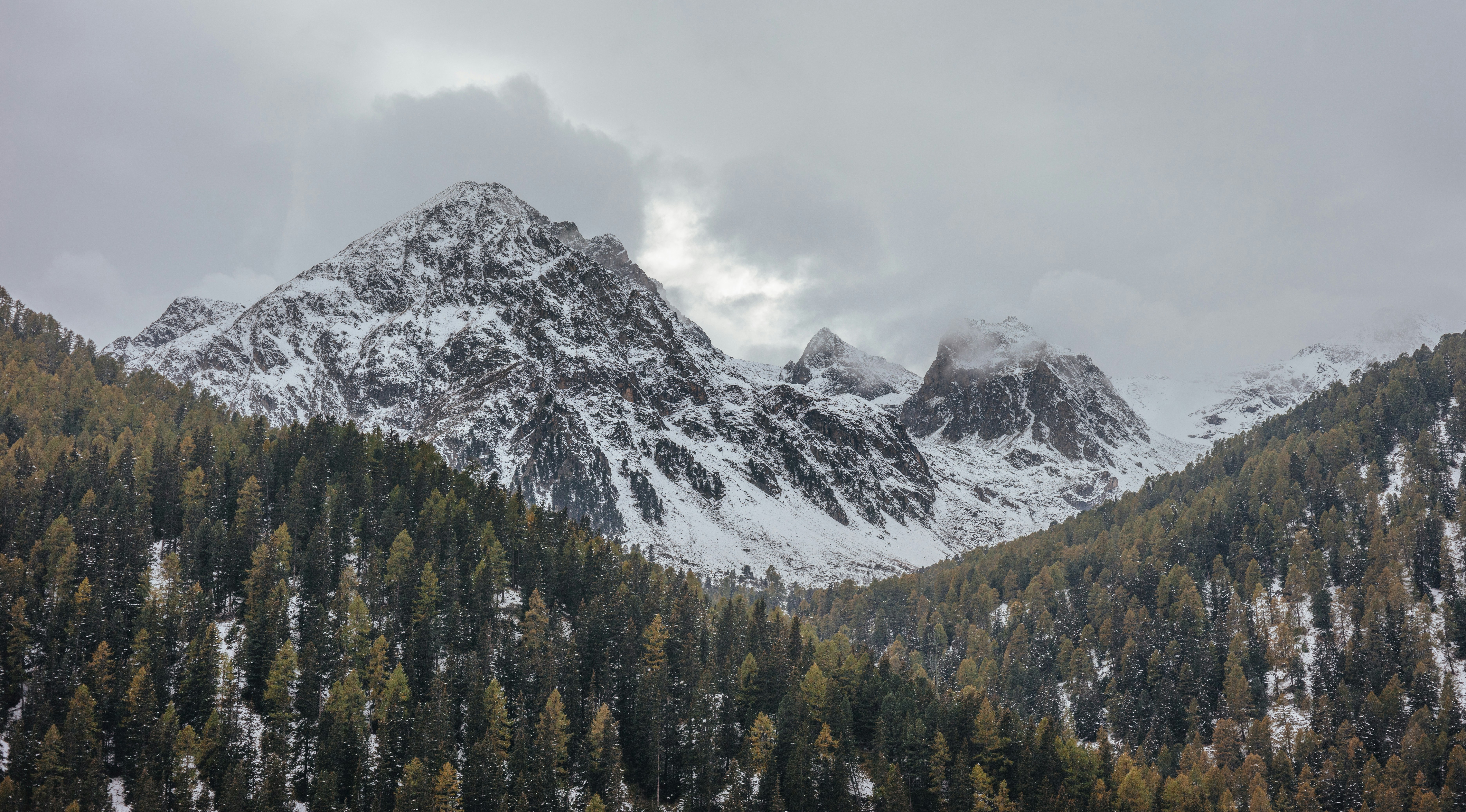 landscape photography of green leafed trees and mountain coated with white snow