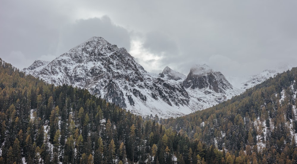 fotografia de paisagem de árvores de folhas verdes e montanha revestida com neve branca