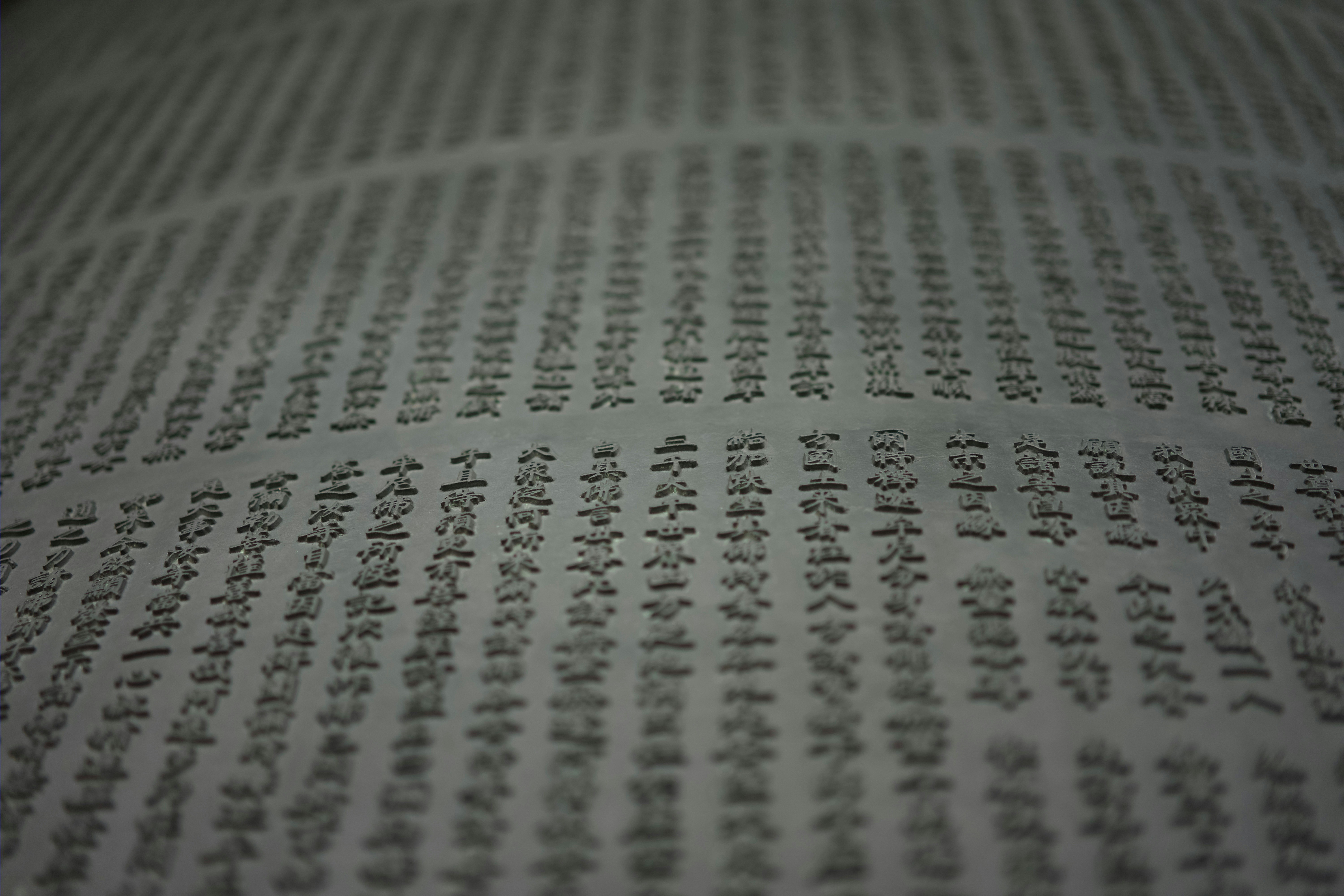 Free Unsplash photo from William Felker