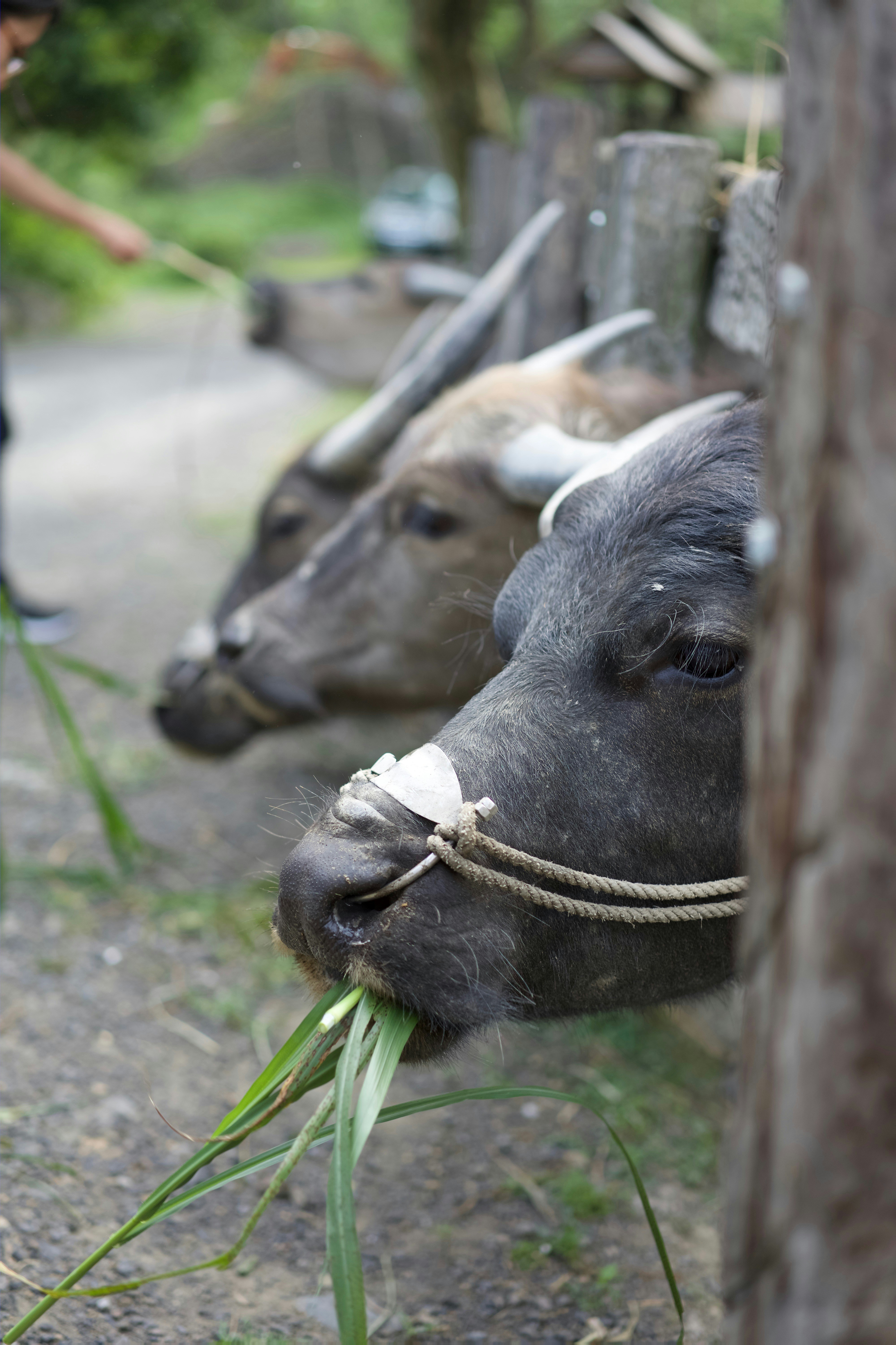 Free Unsplash photo from William Felker