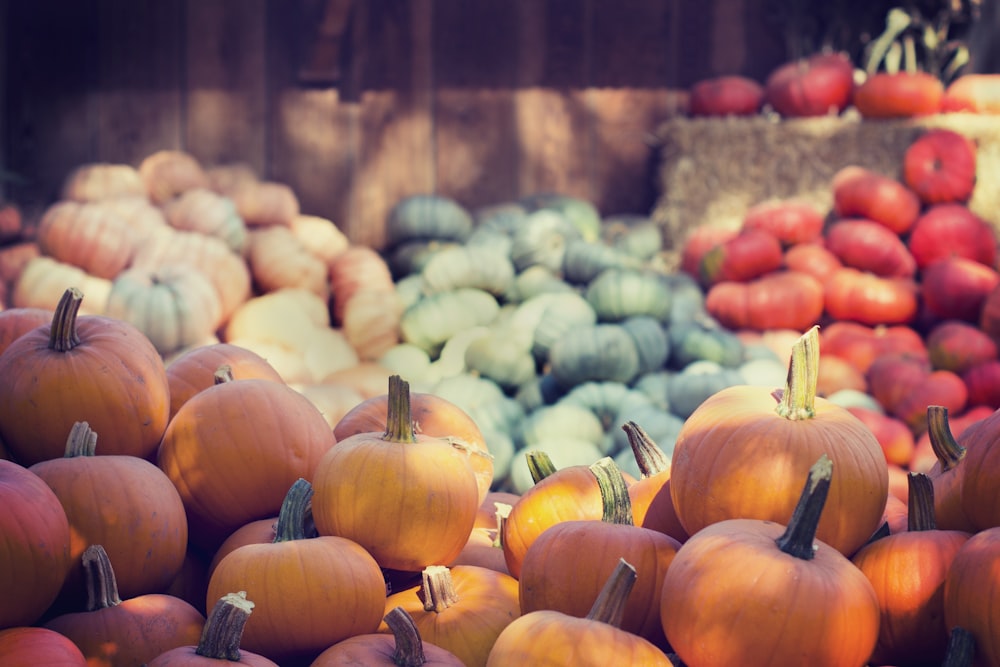 variety of vegetables photo