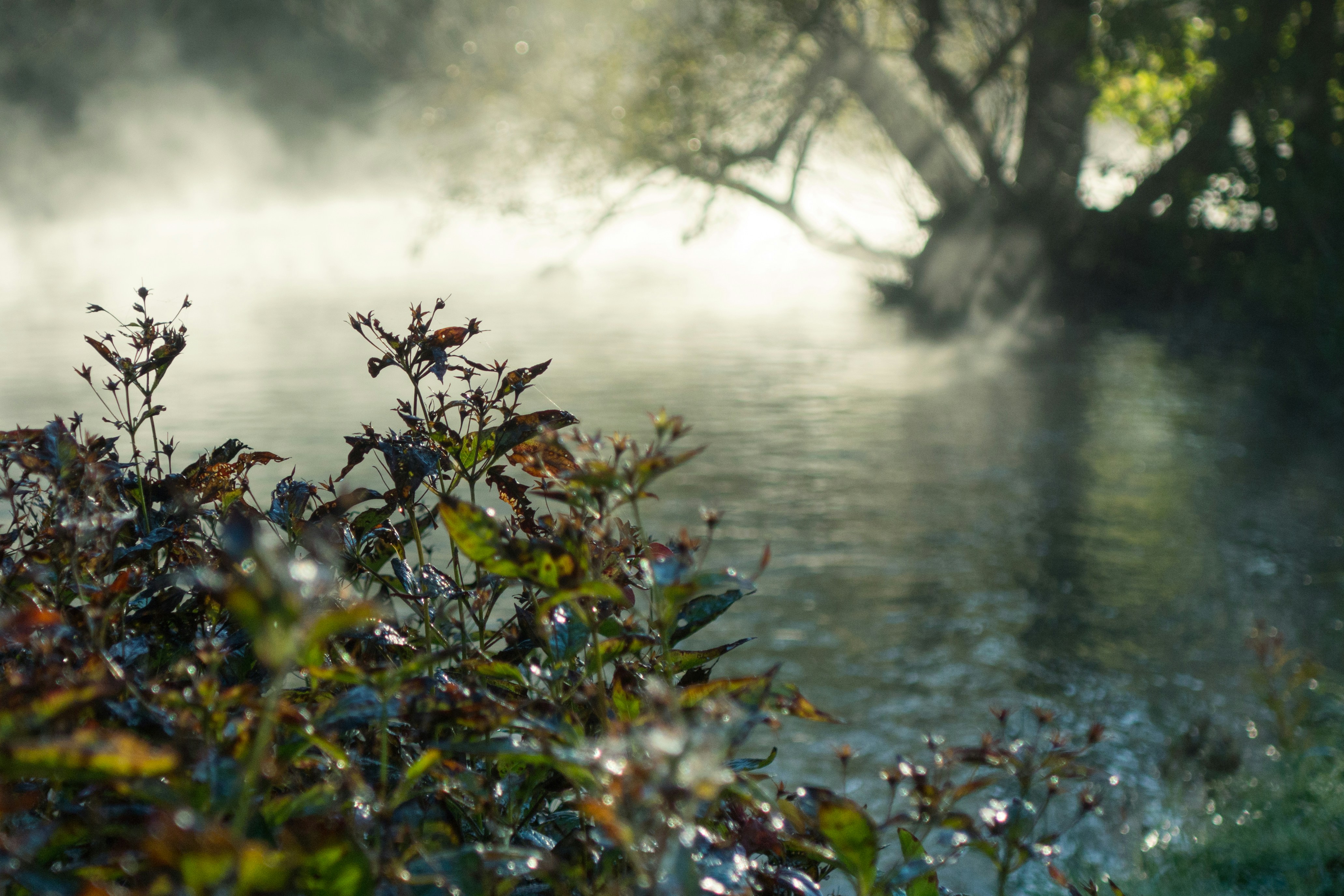 Free Unsplash photo from Matt McLean