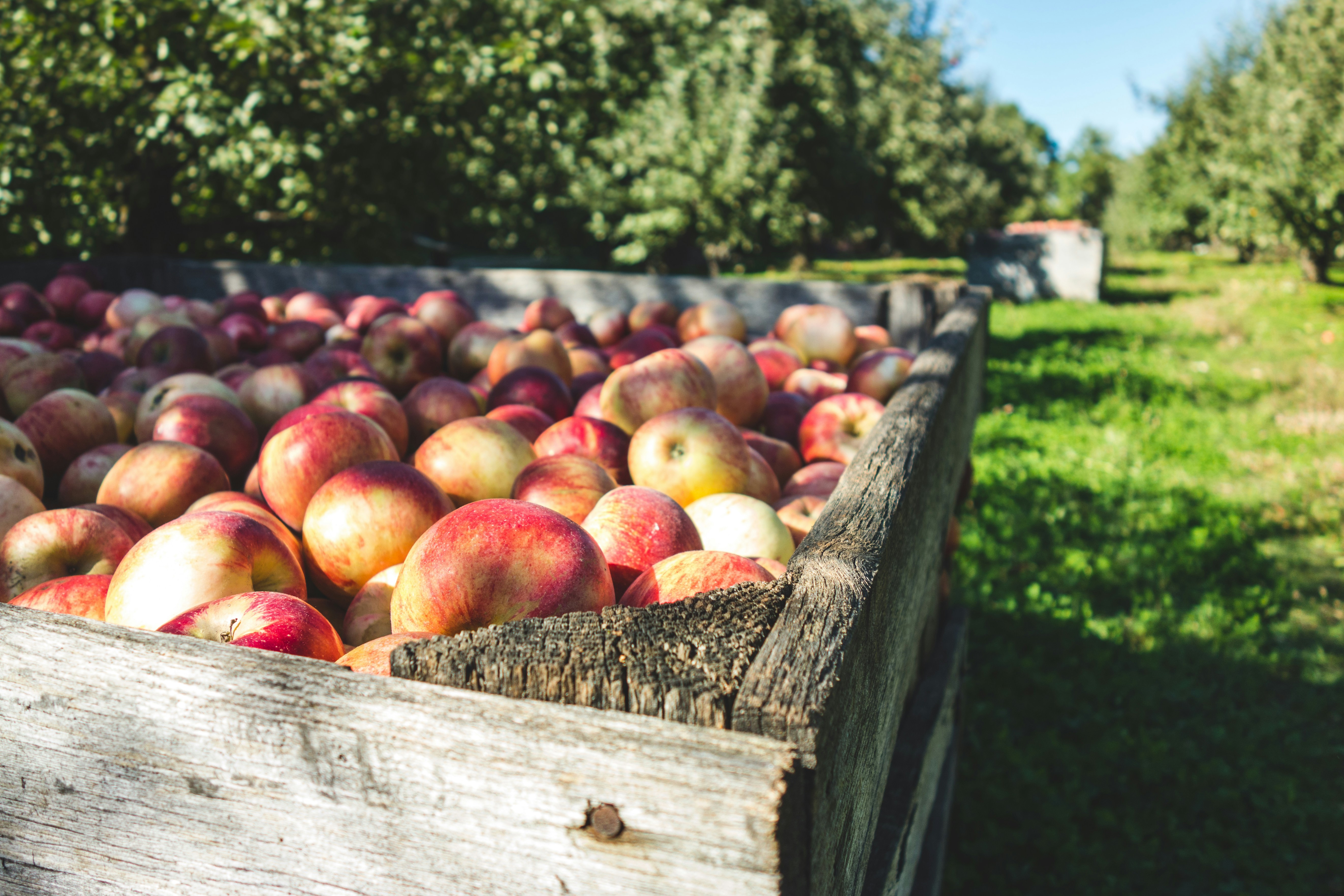 Free Unsplash photo from Matt McLean