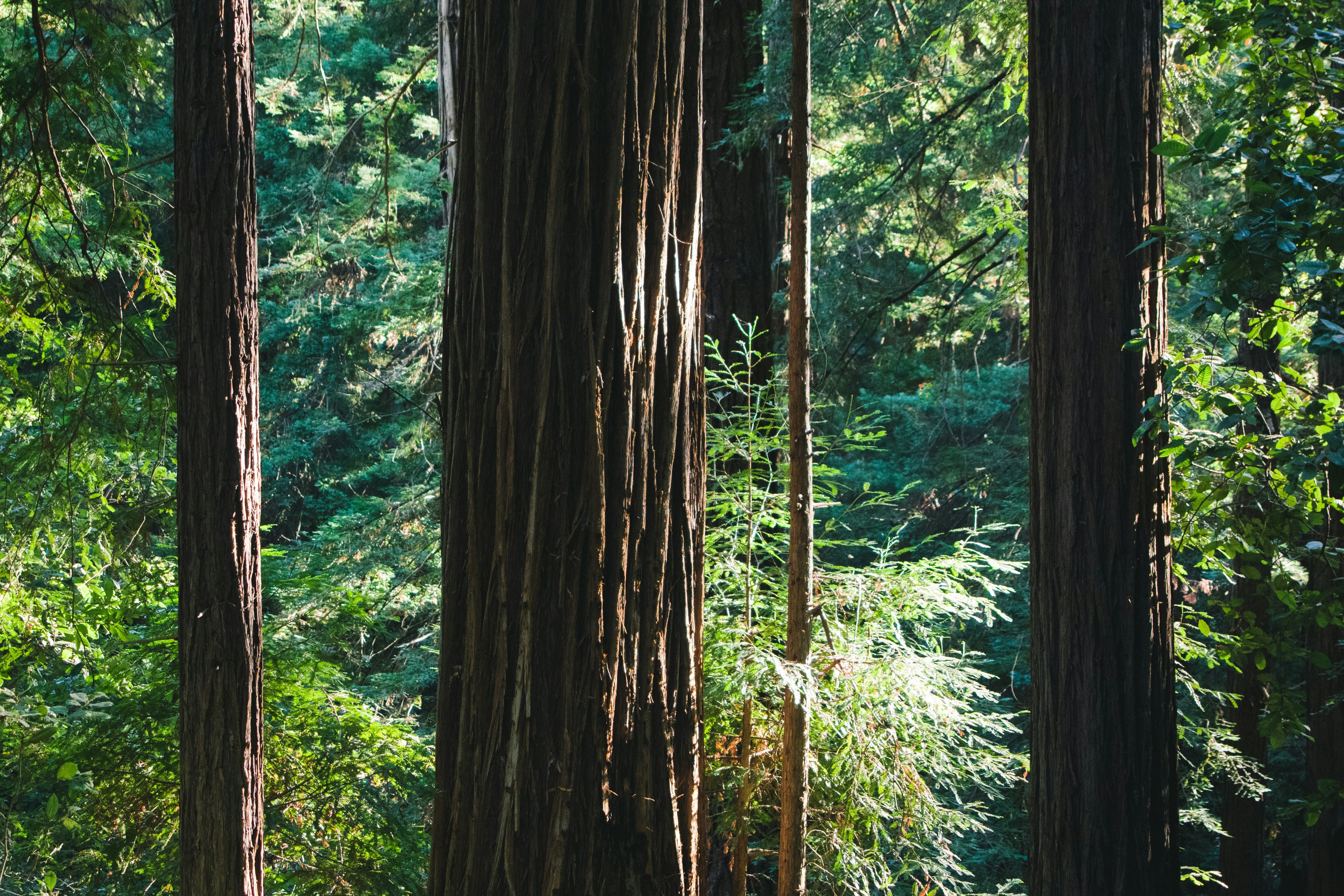 Free Unsplash photo from Matt McLean