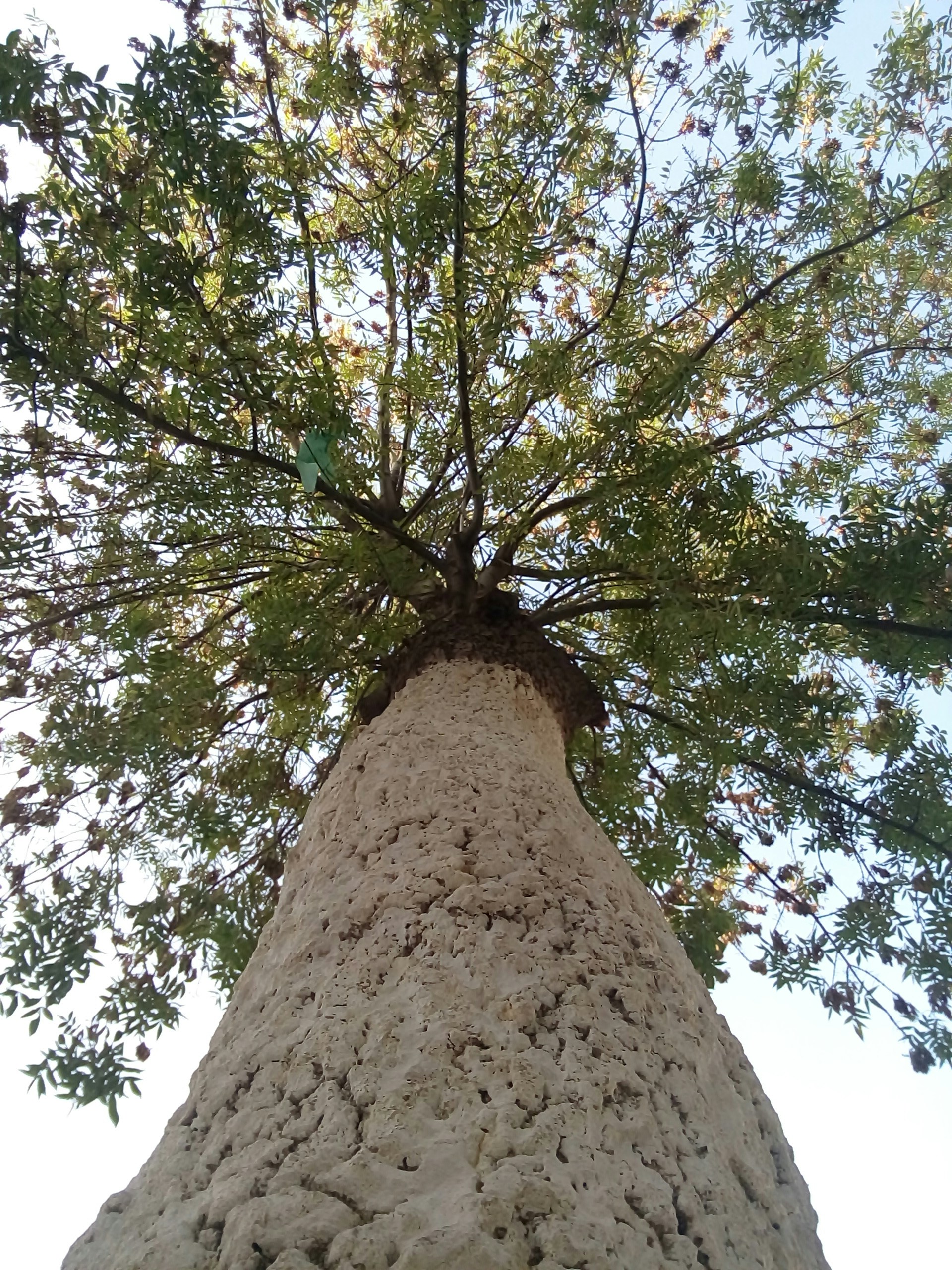 Free Unsplash photo from Rafik Khedri