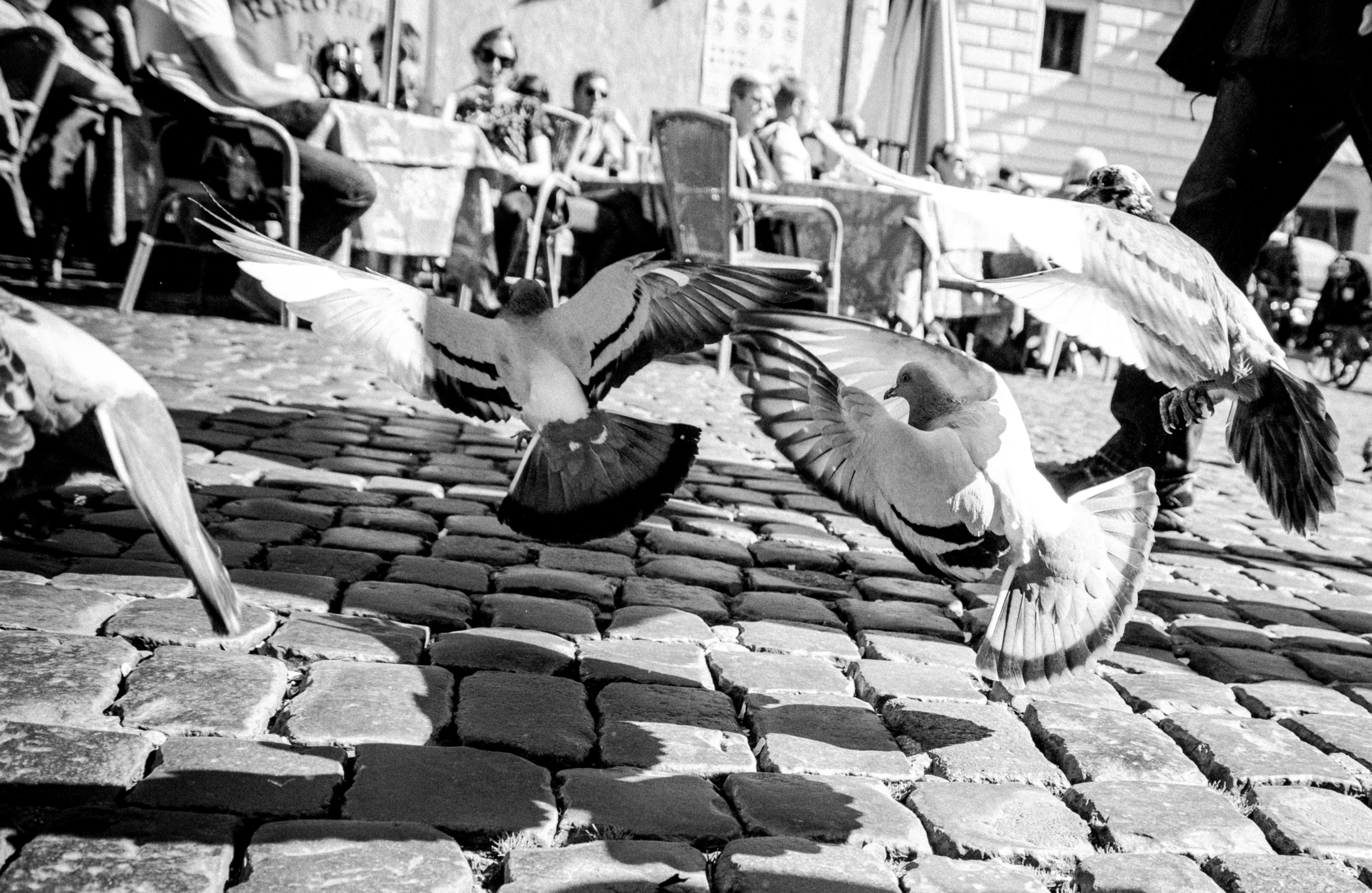 Free Unsplash photo from Nacho Arteaga