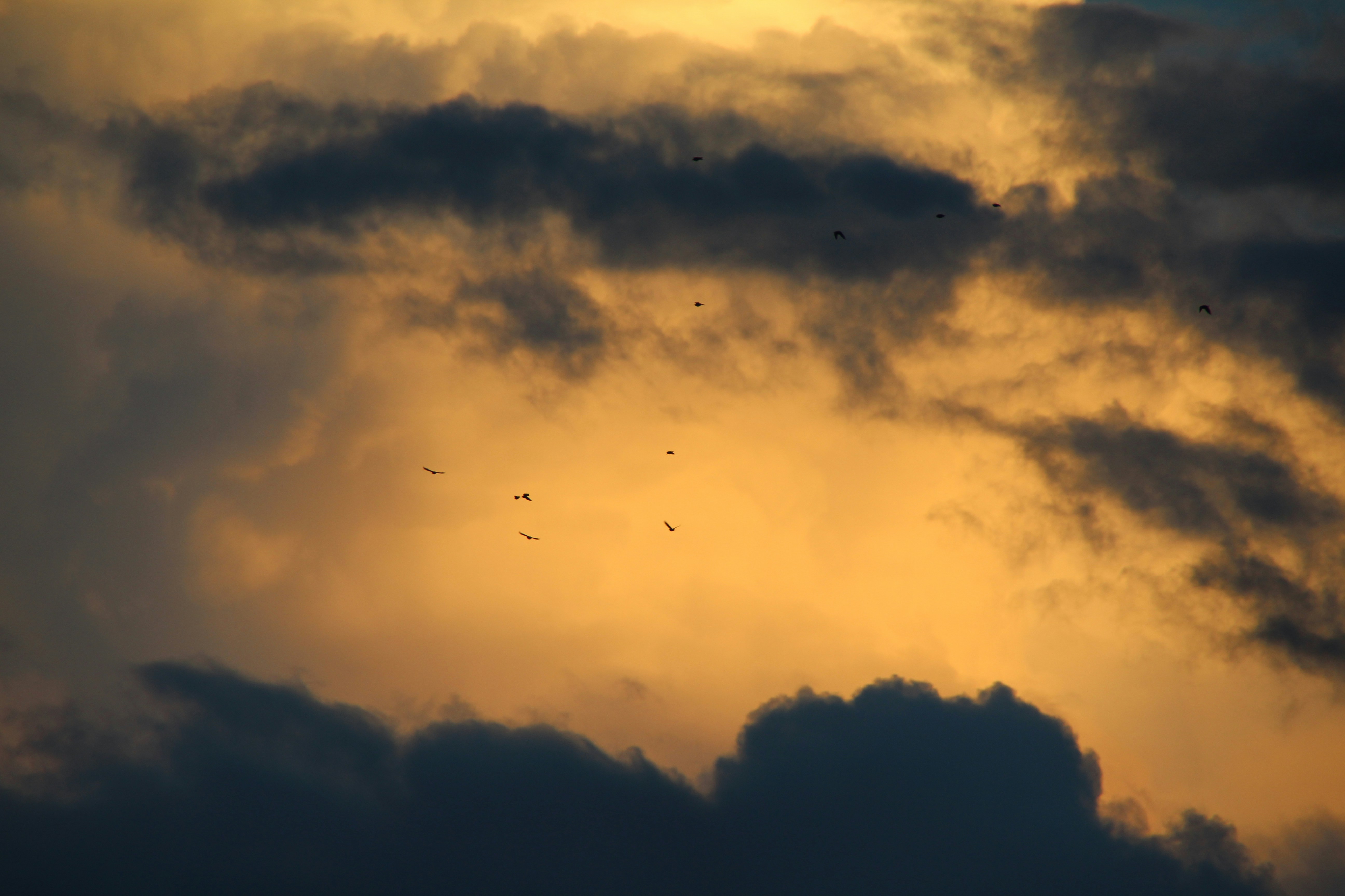 Free Unsplash photo from somsomriures [NUHR]