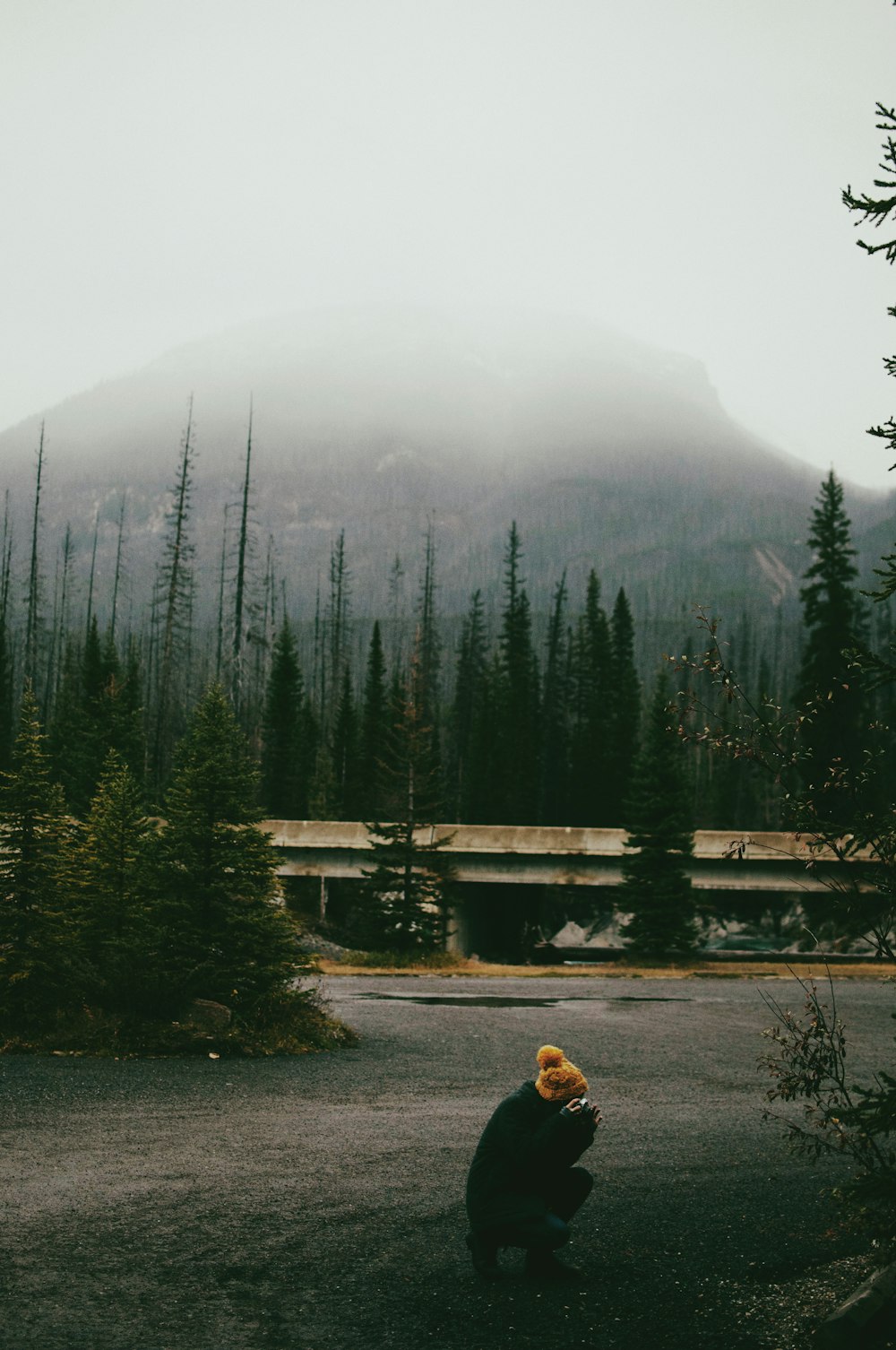 person near foggy mountain with trees