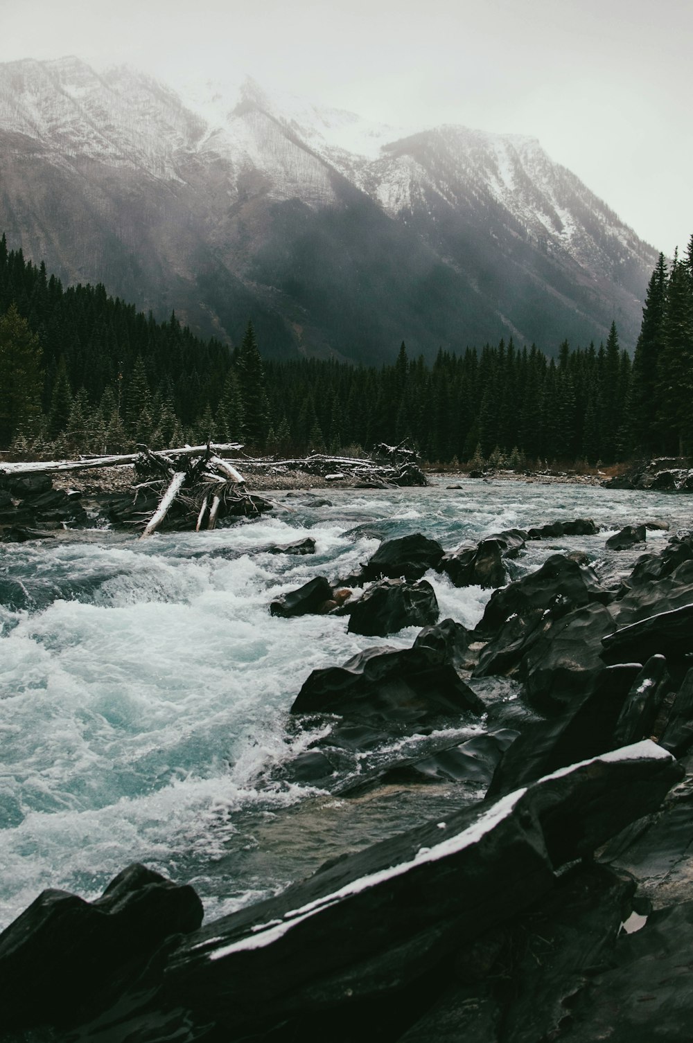 river with gray rocks near mountain and forest with trees