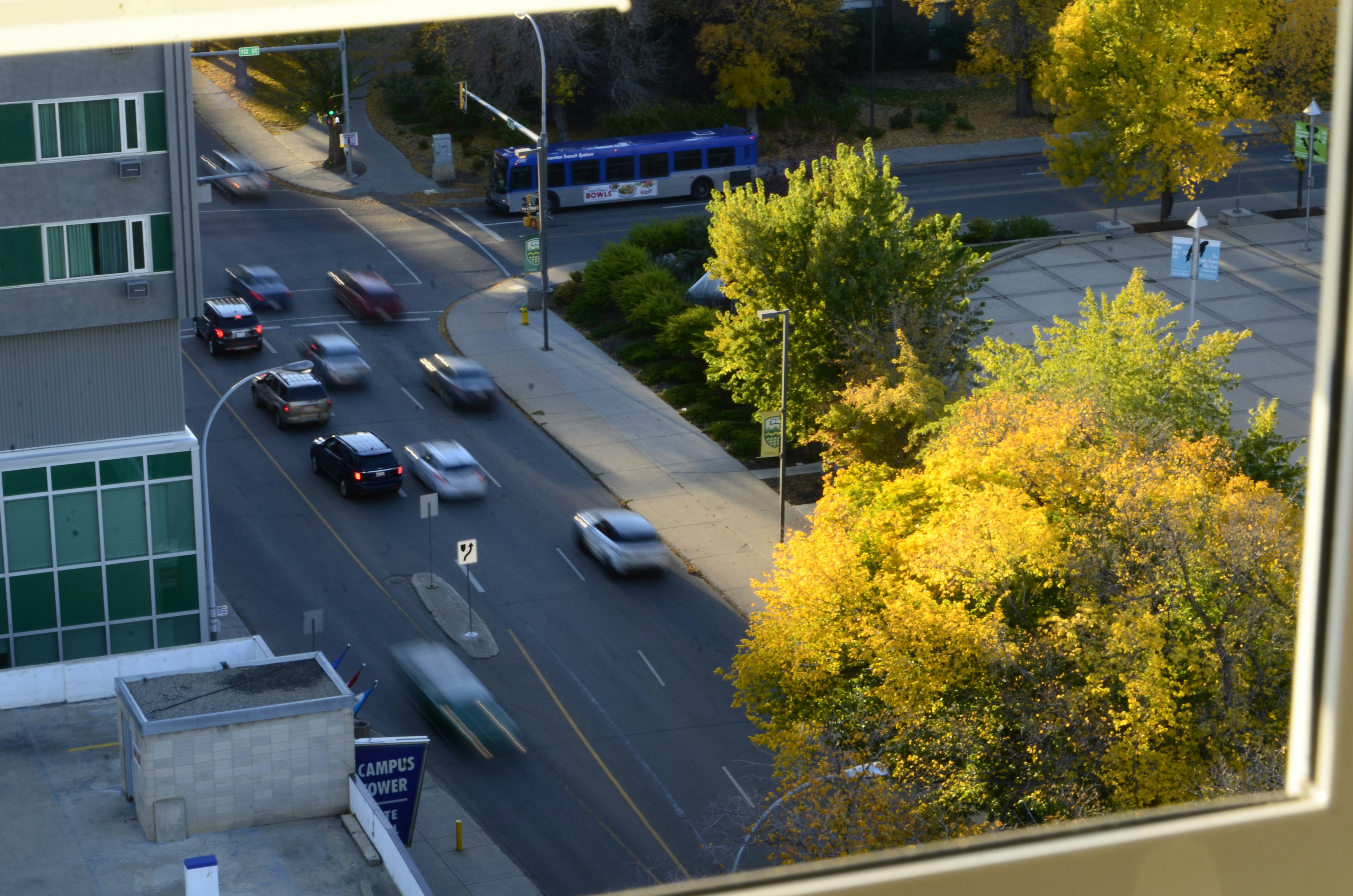 Free Unsplash photo from Martin Zhao