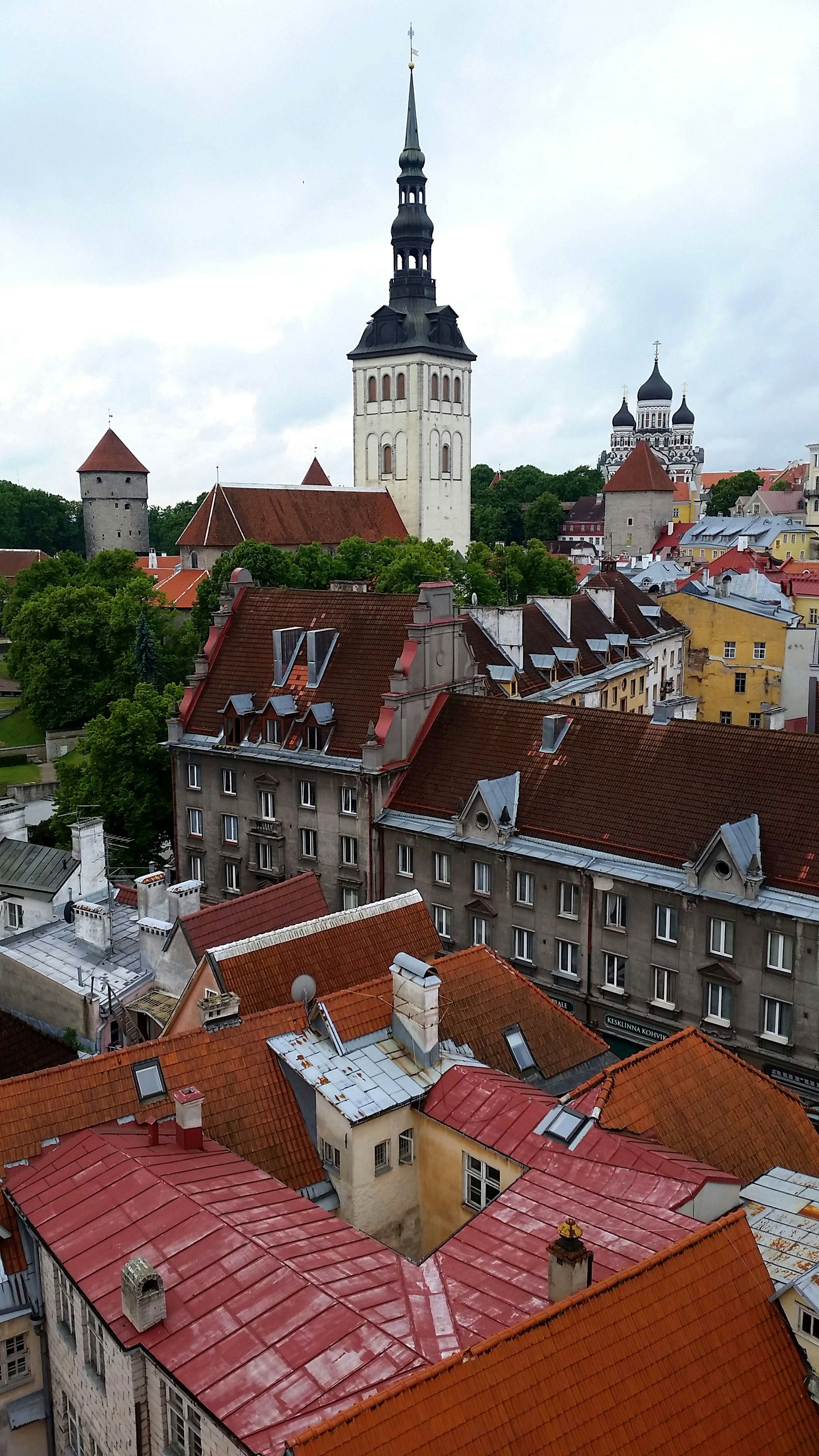 Free Unsplash photo from Shandi Darnell-Shifflett