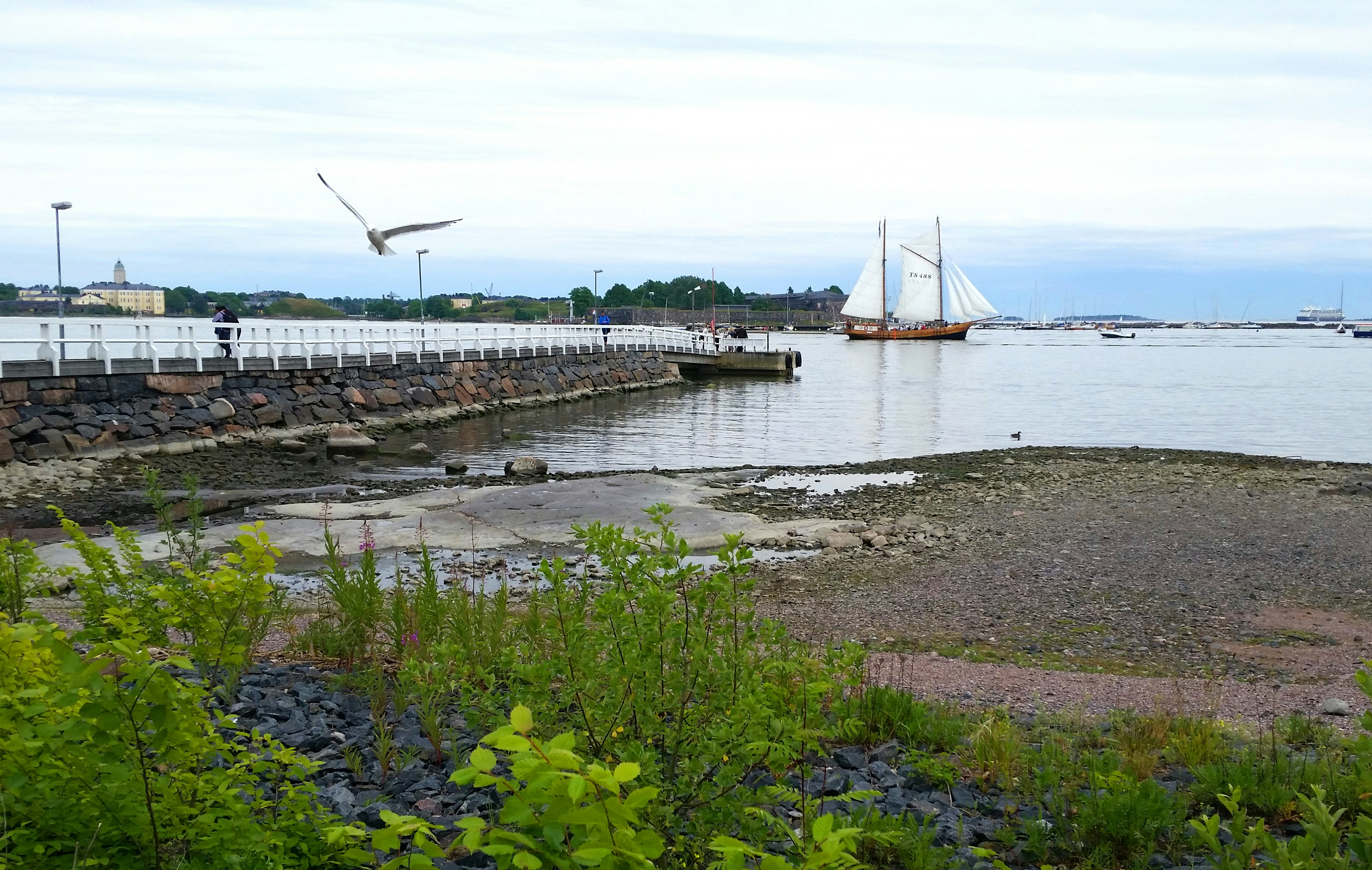 Free Unsplash photo from Shandi Darnell-Shifflett