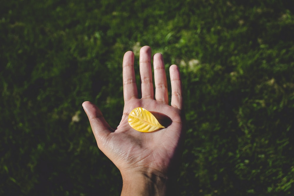 linke menschliche Hand mit gelbem Blatt