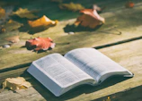 A warm, softly lit photo of an open book resting on a wooden table with autumn leaves scattered around.