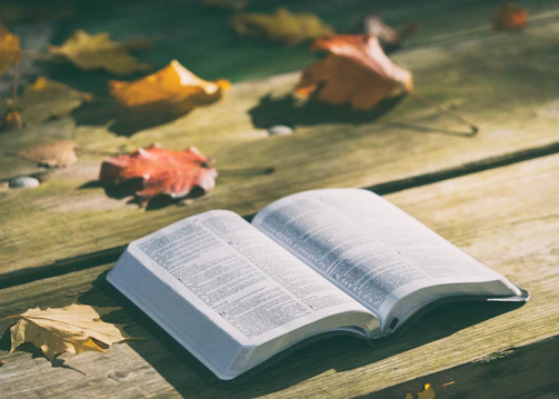 A warm, softly lit photo of an open book resting on a wooden table with autumn leaves scattered around.