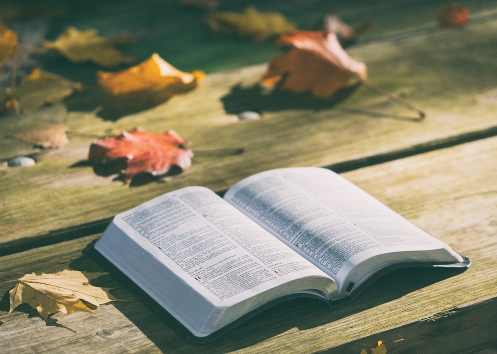 An open book on a wooden surface next to colorful autumn leaves