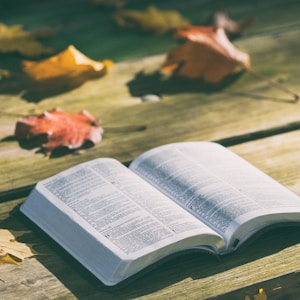 open bible book on brown wooden panel