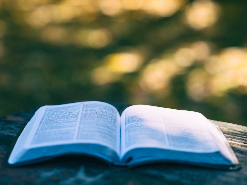 opened book selective focus photography