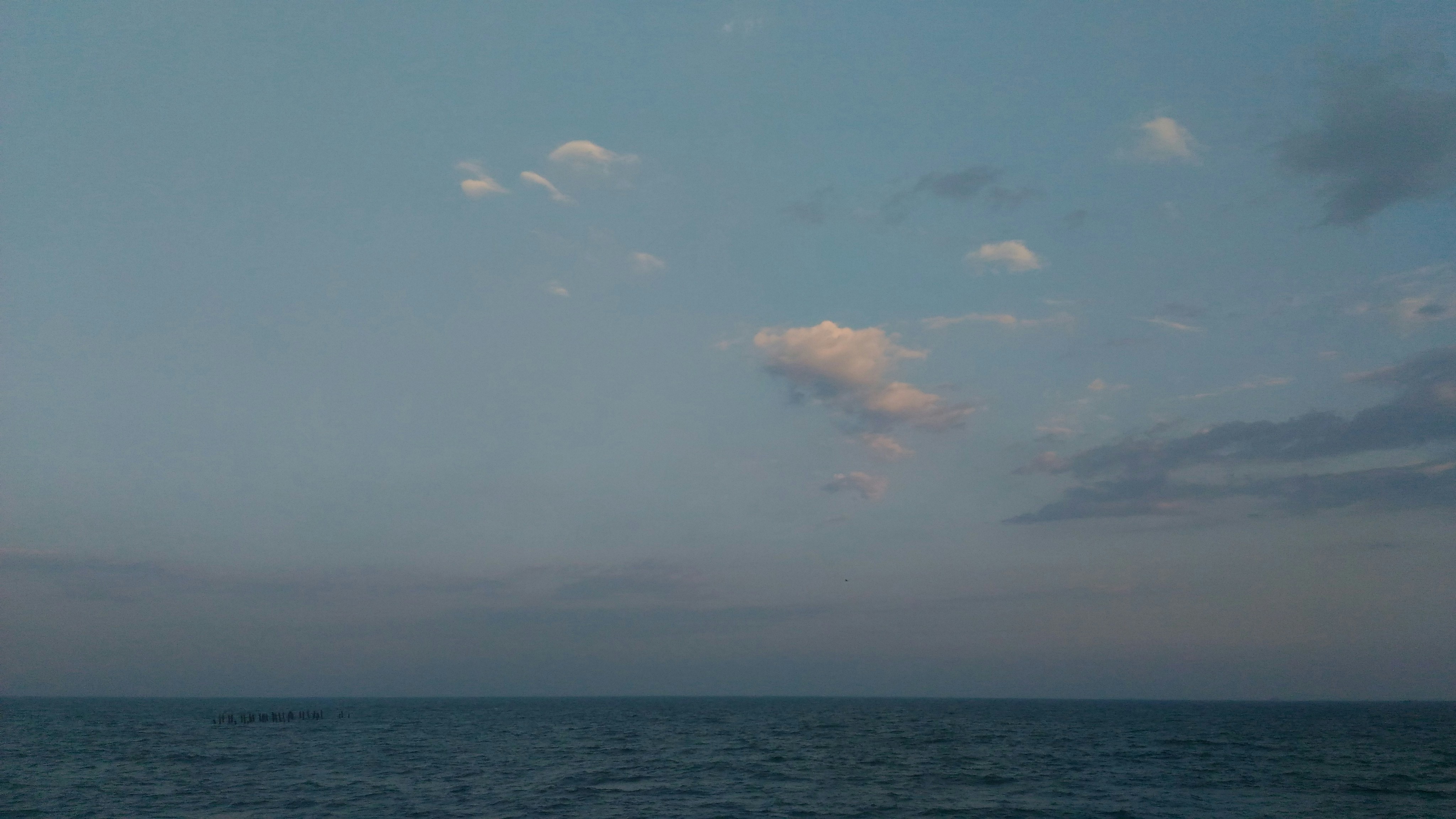 Free Unsplash photo from Chandra  Shekar