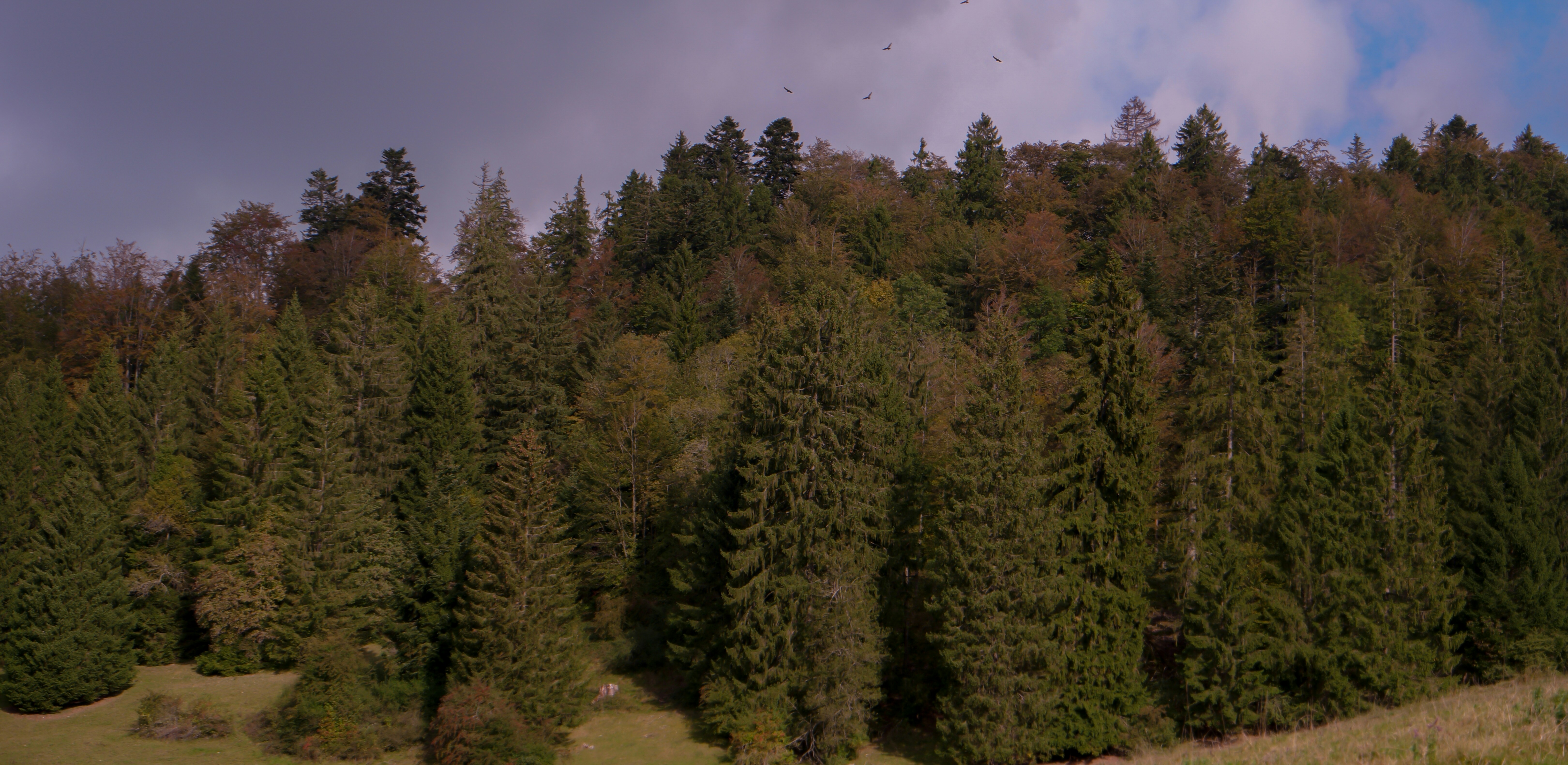 Free Unsplash photo from Waldner UAV