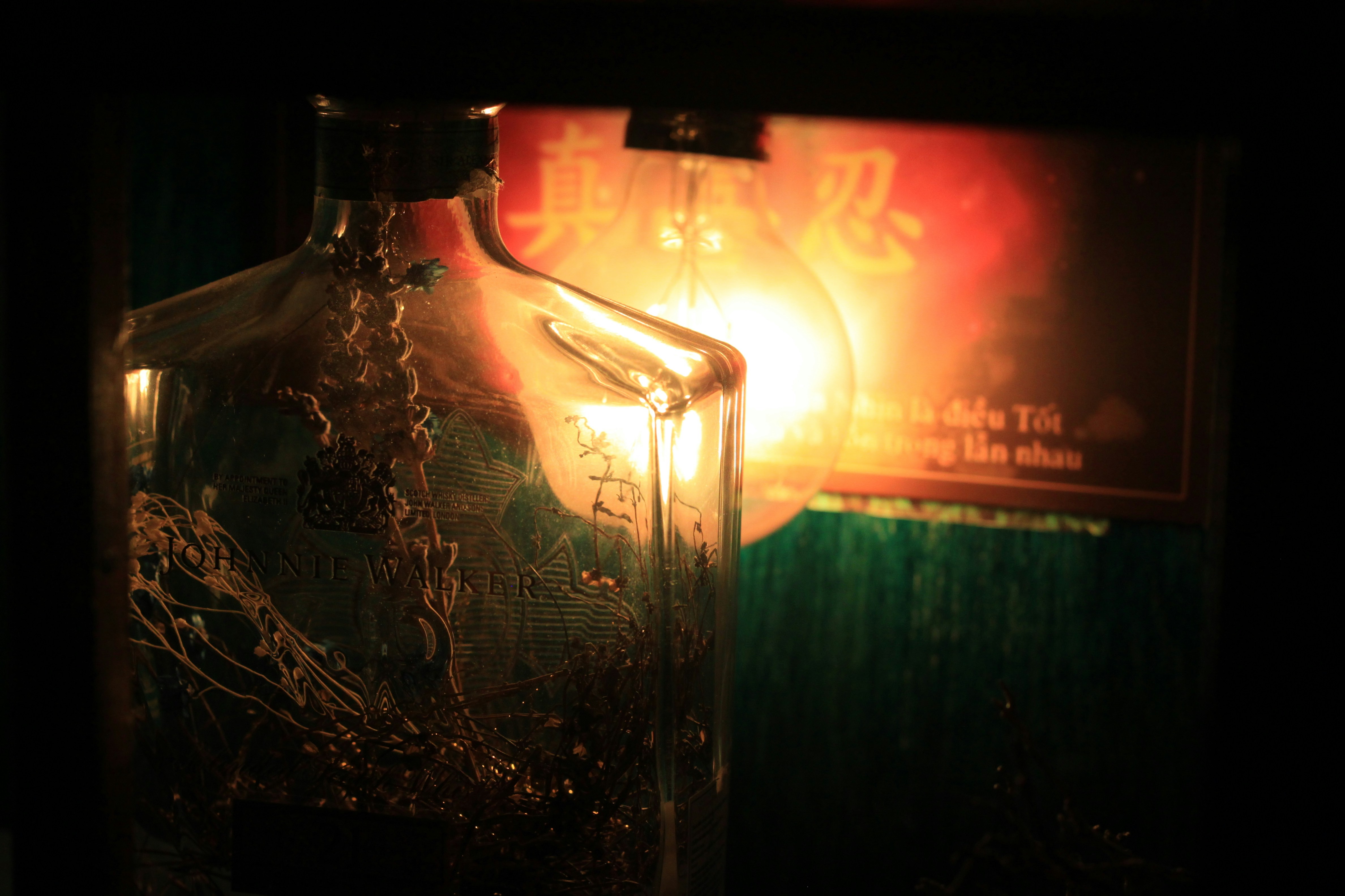 Free Unsplash photo from Nguyen Duy