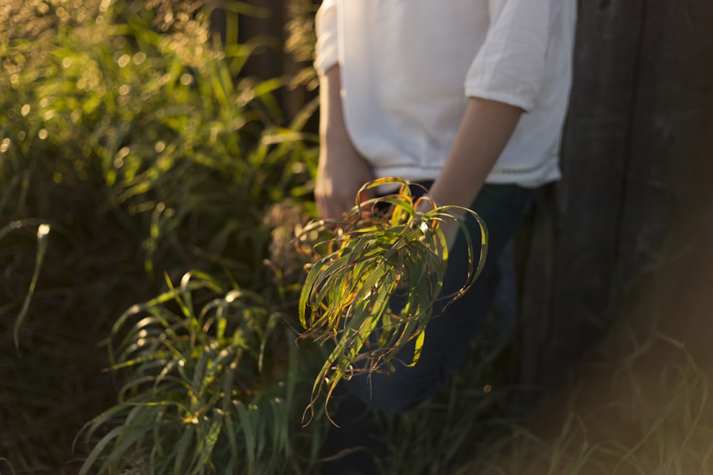 woman holding green plant