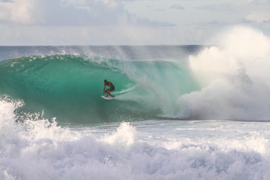 photo of North Shore Surfing near Waikīkī