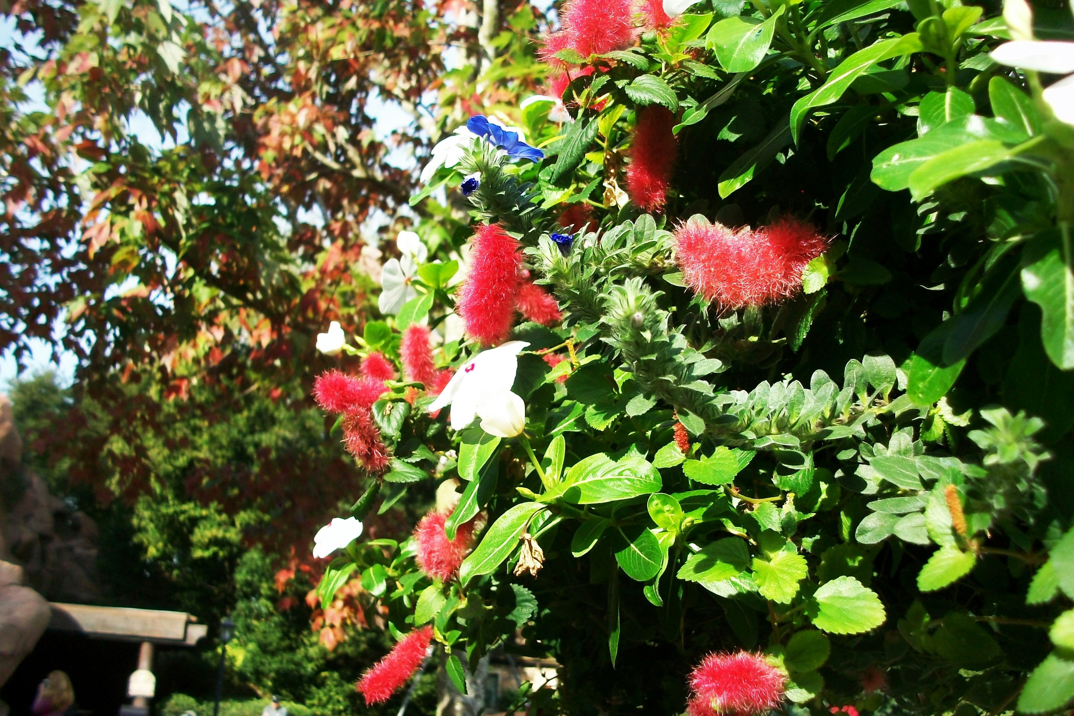 Free Unsplash photo from Maria Rodriguez Clavijo