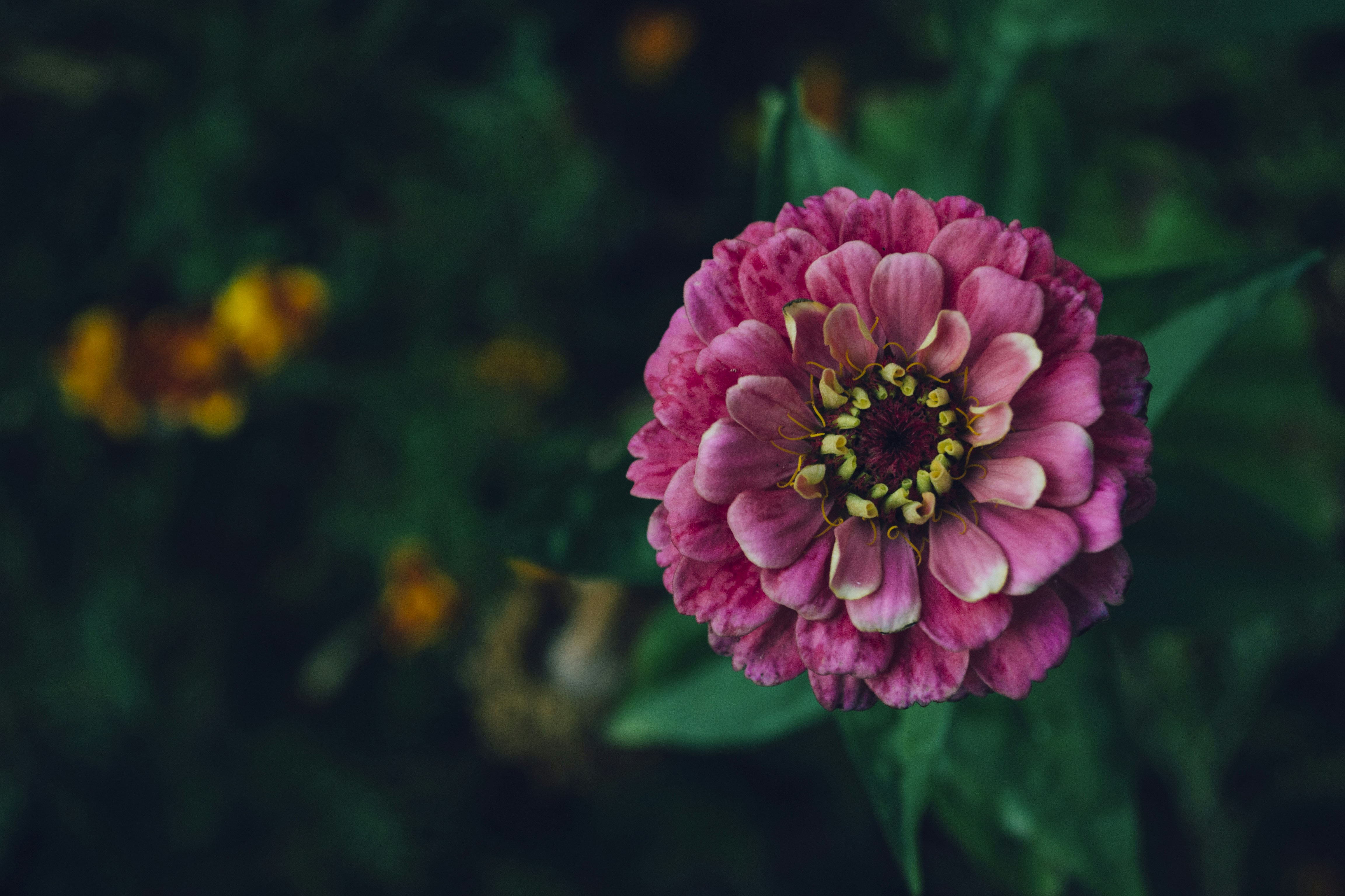 Free Unsplash photo from Gabriel Encev