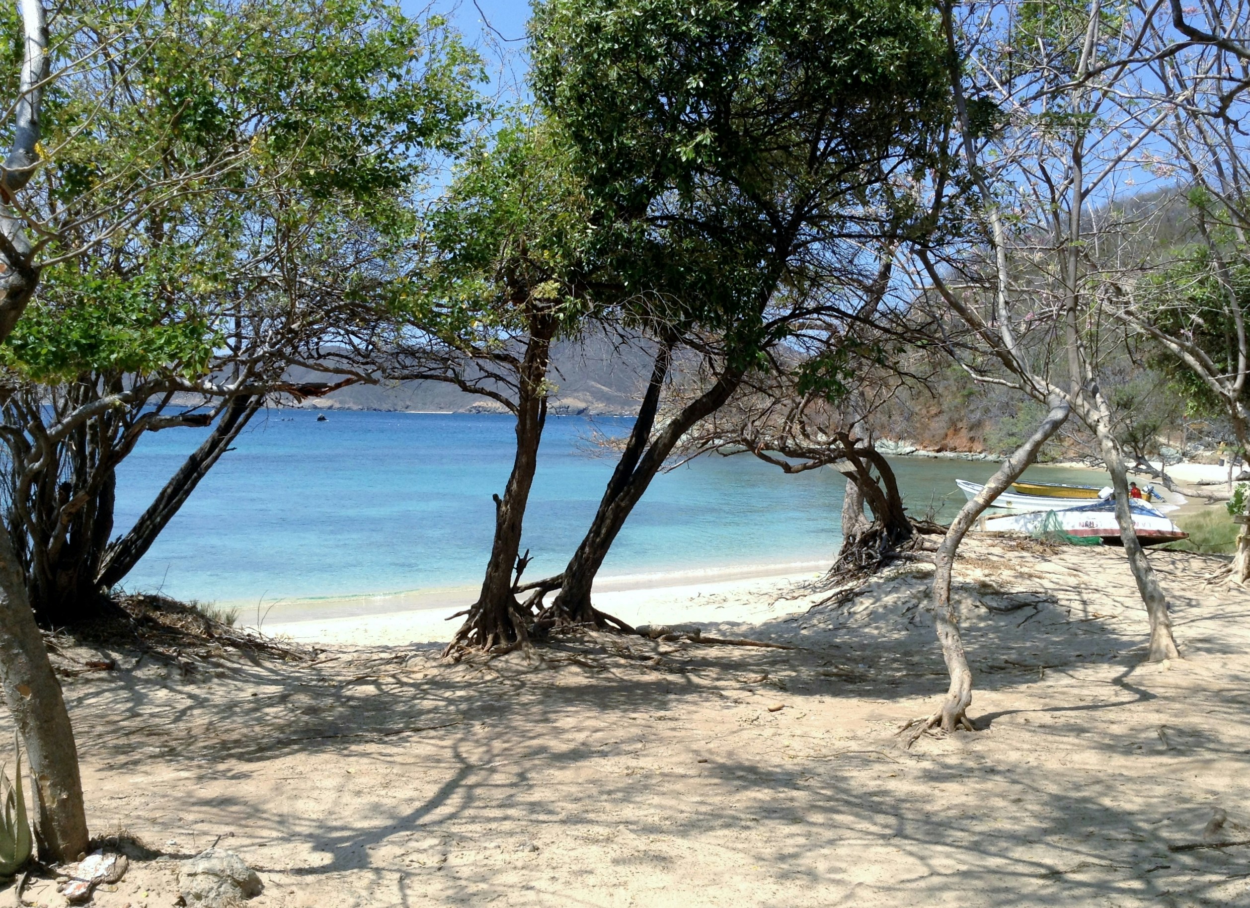 Free Unsplash photo from Maria Rodriguez Clavijo