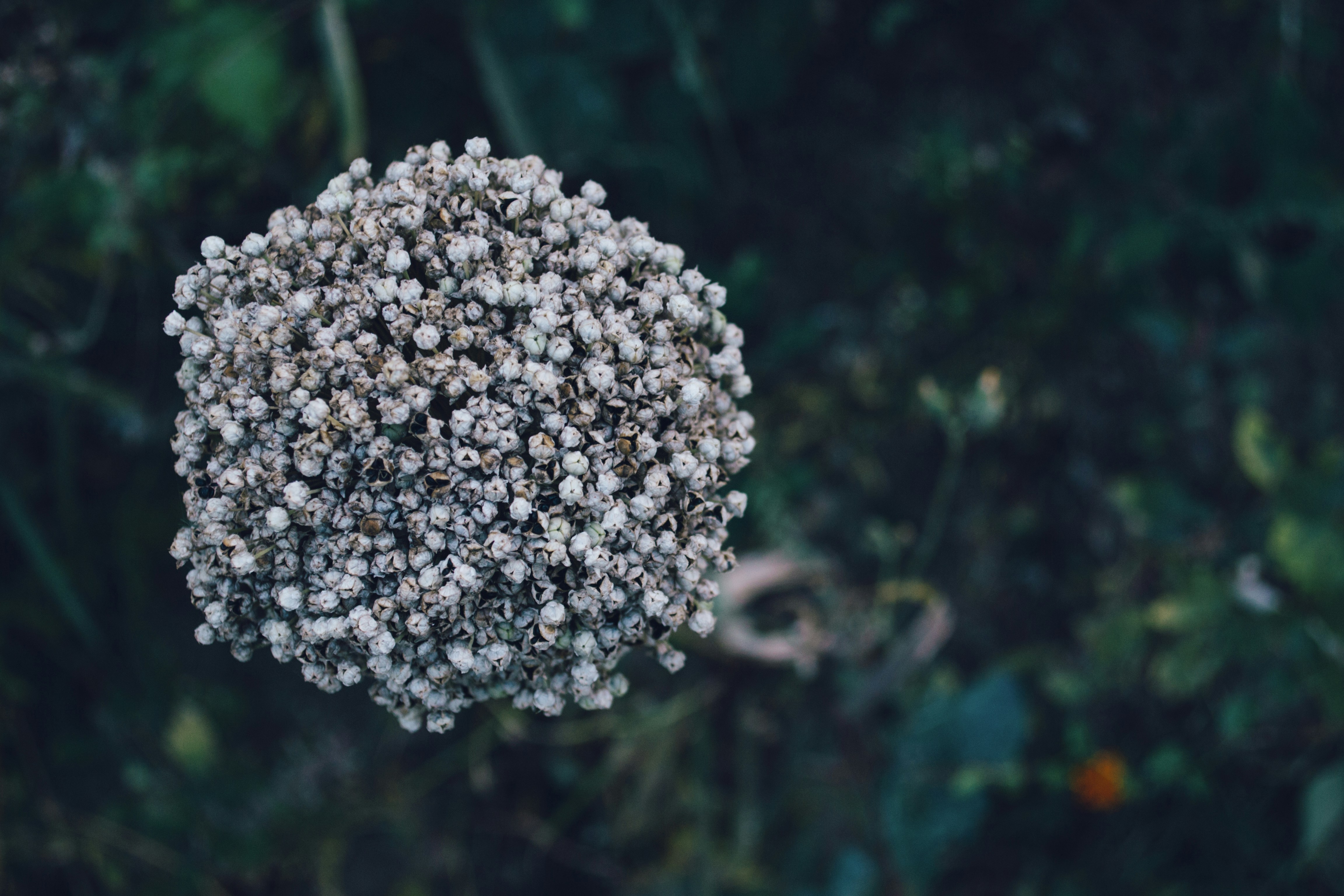 Free Unsplash photo from Gabriel Encev