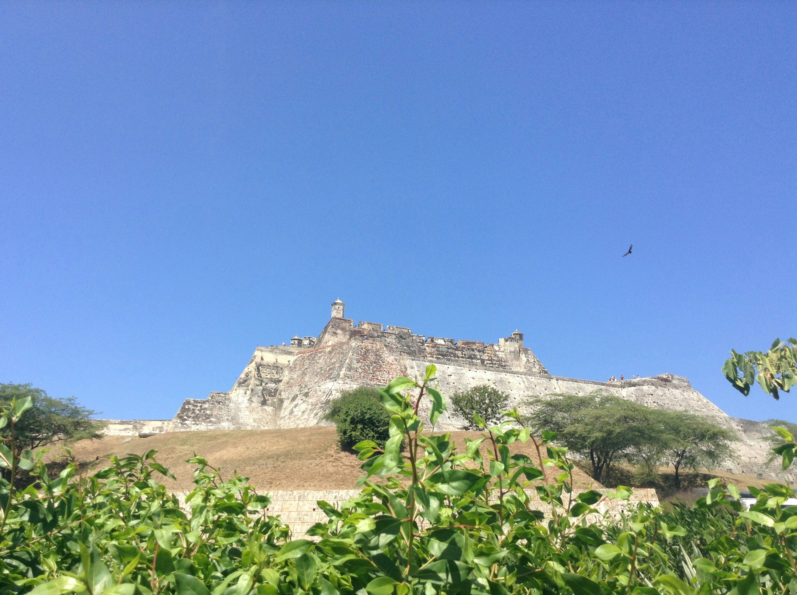 Free Unsplash photo from Maria Rodriguez Clavijo