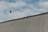 Close-up of tightly woven pigeon netting stretched over a warehouse roof in Mumbai.