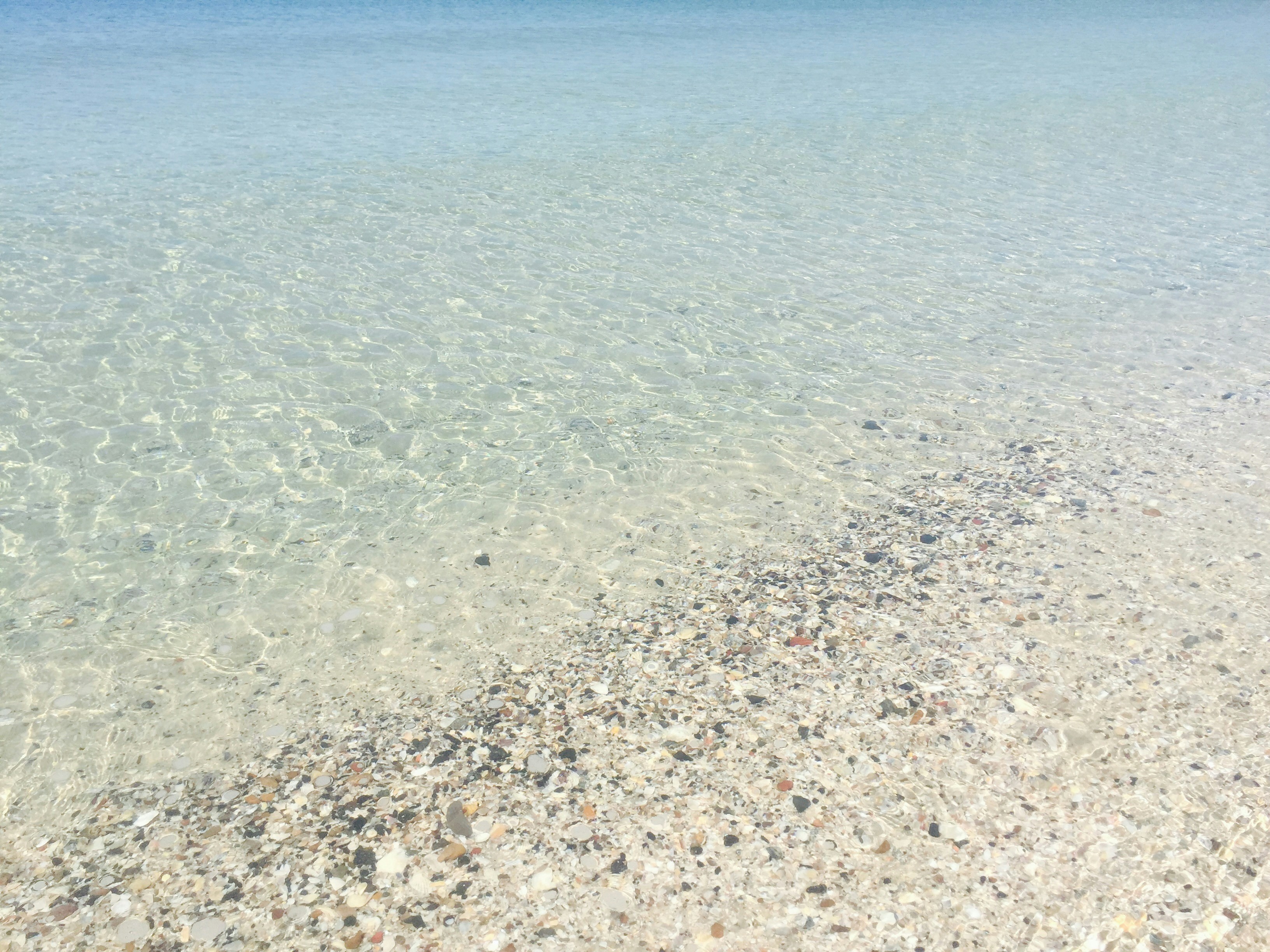 Free Unsplash photo from Aria H