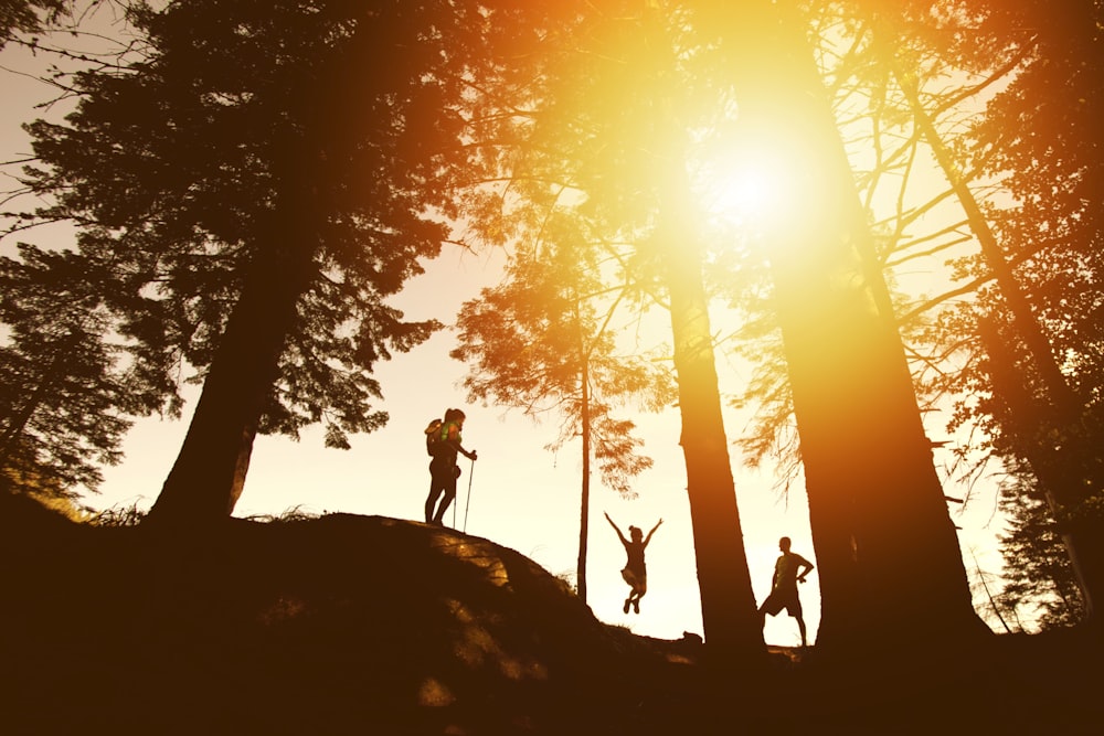 silhouette photo of three person near tall trees