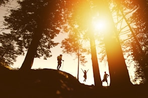 silhouette photo of three person near tall trees