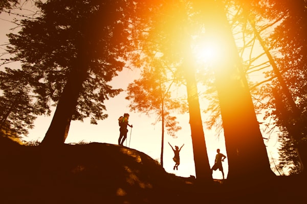 Finding Your Stride: The Unseen Milestone That Transforms Hikers into Conquerors