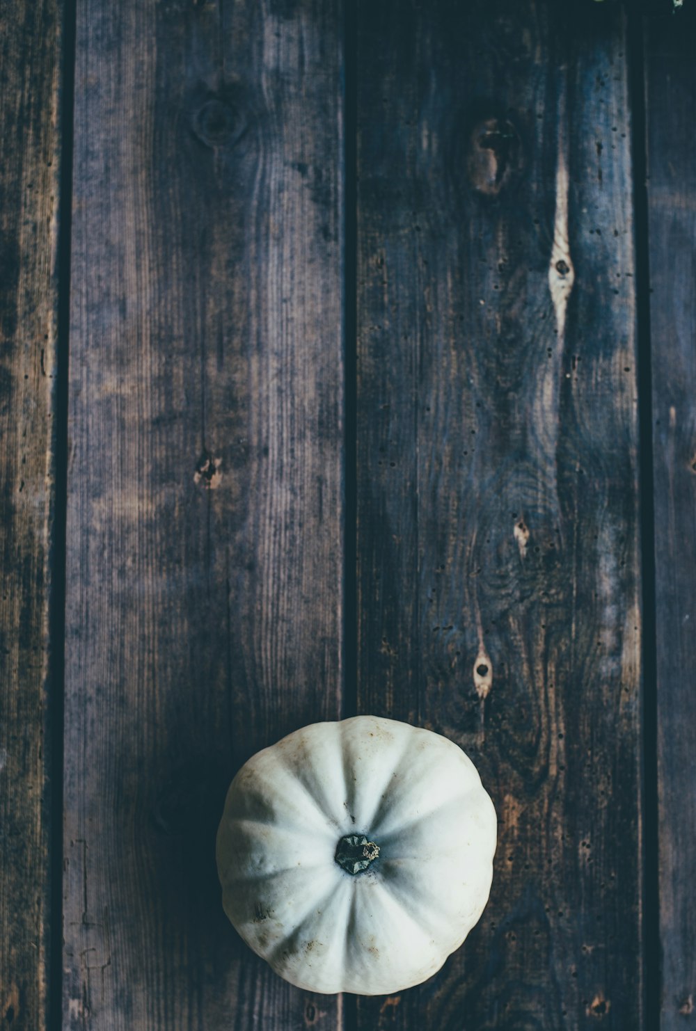 squash on brown surface