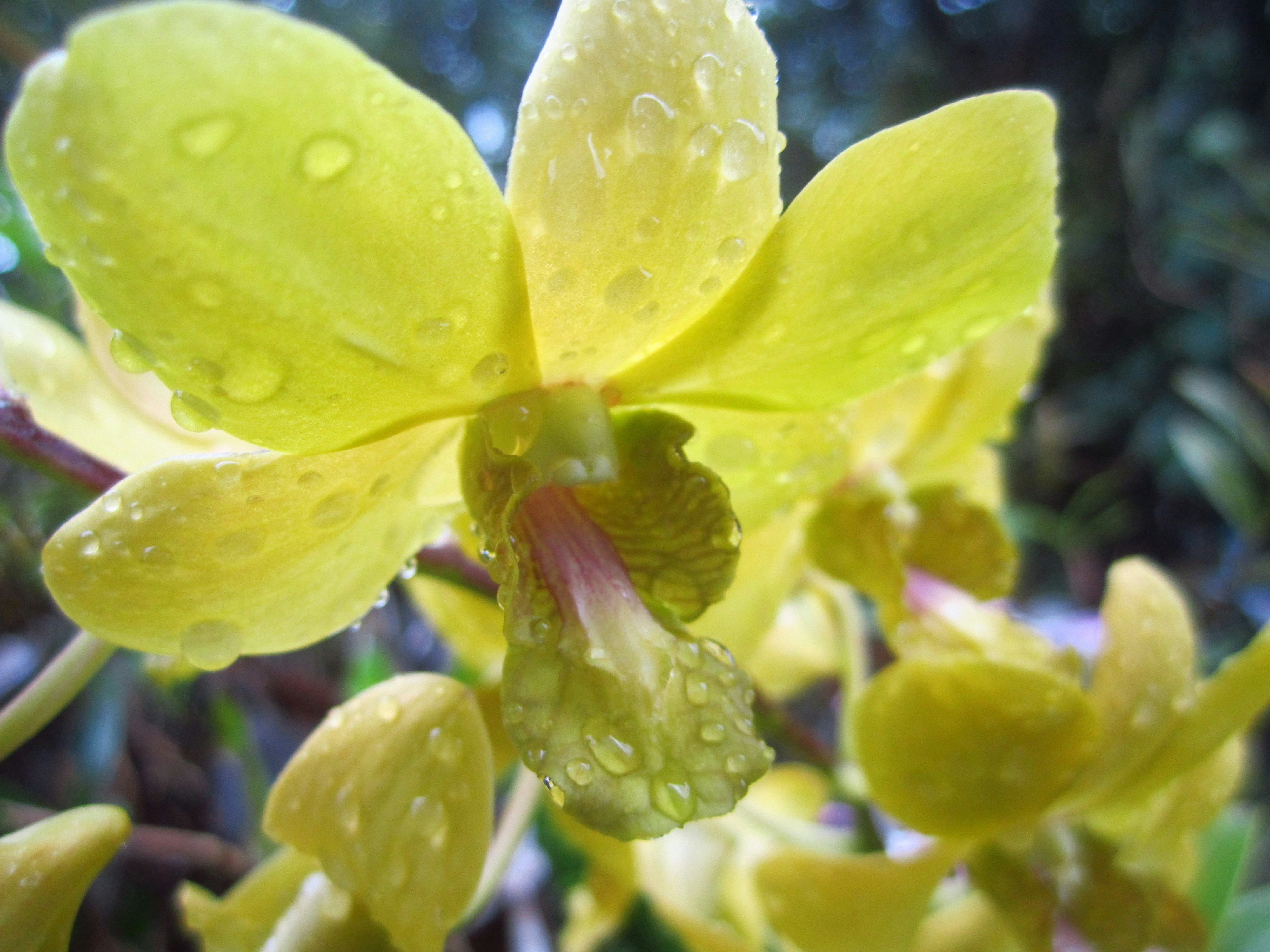 Free Unsplash photo from Jay El Bautista