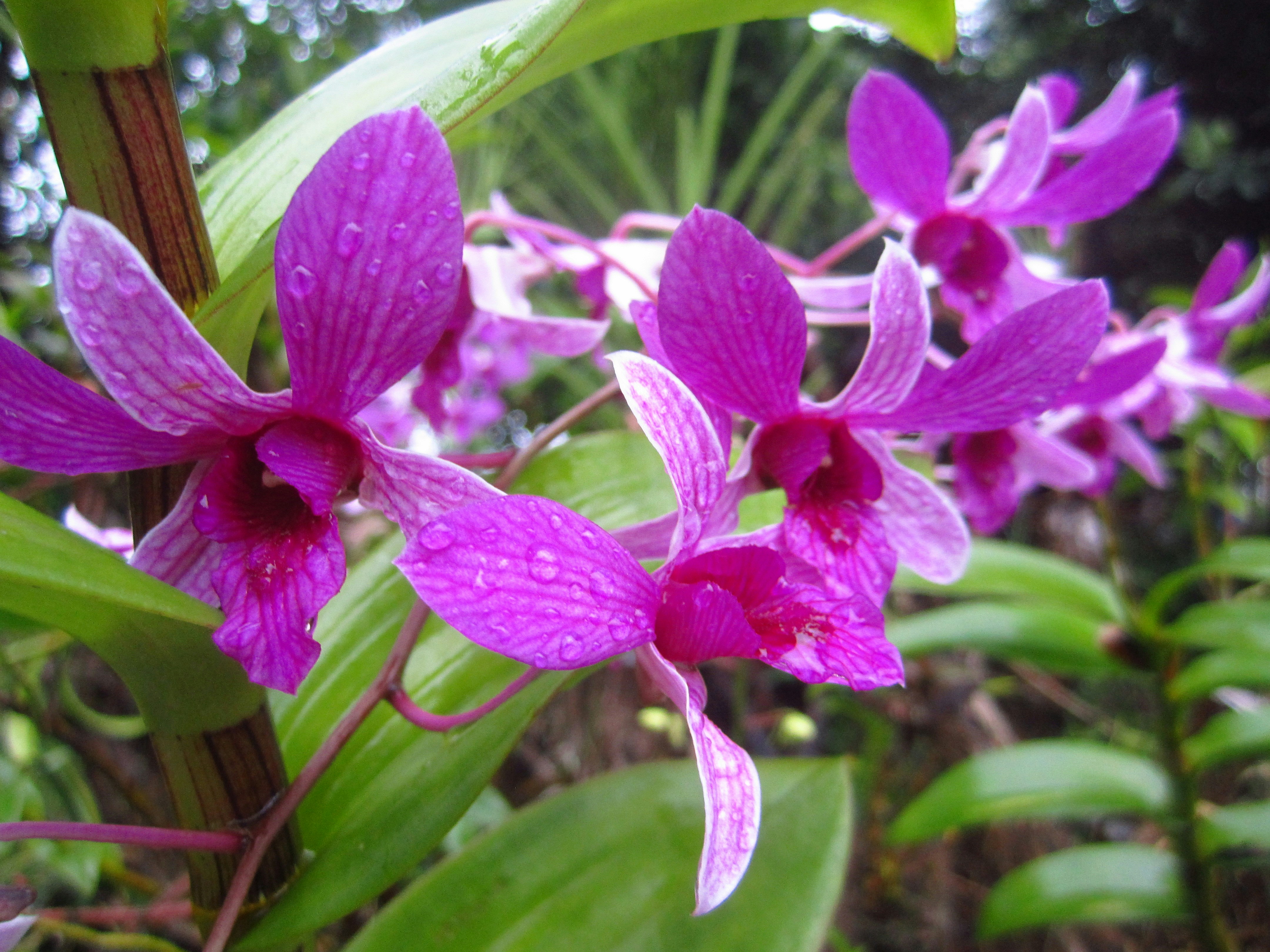 Free Unsplash photo from Jay El Bautista