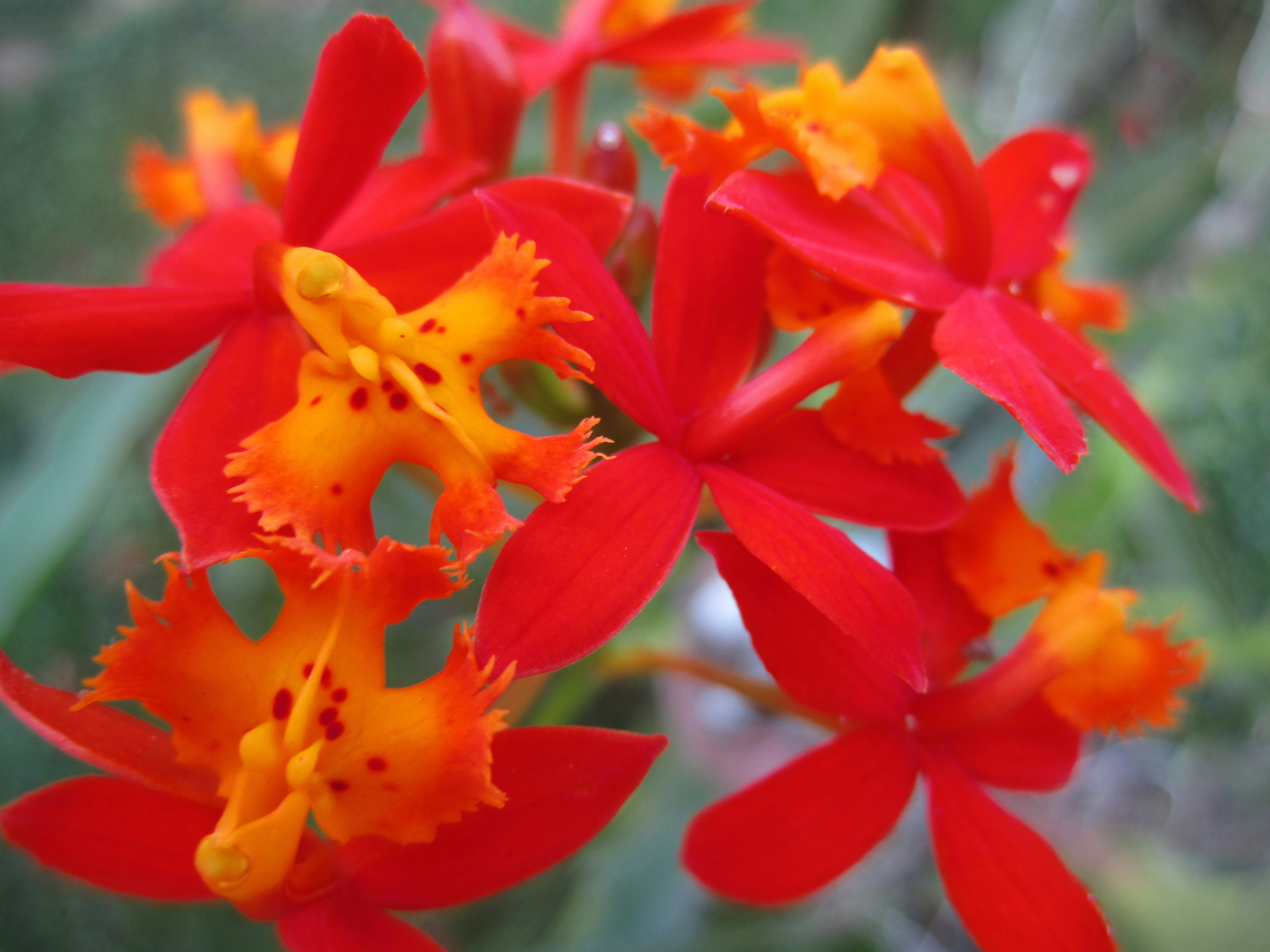 Free Unsplash photo from Jay El Bautista