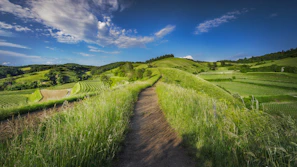 Sunlit rolling hills with a winding dirt path under a clear blue sky
