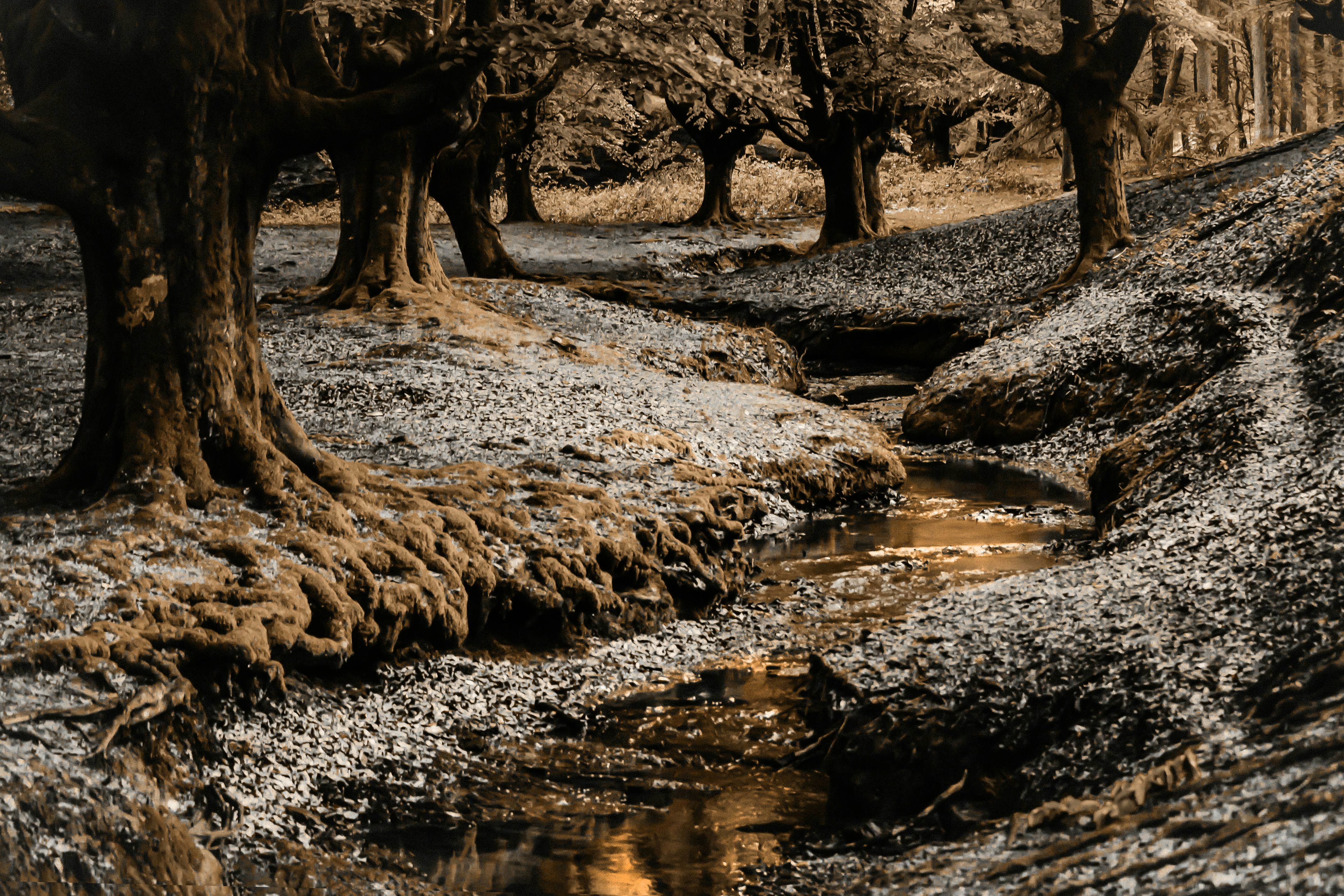 Free Unsplash photo from Ione Valdezate