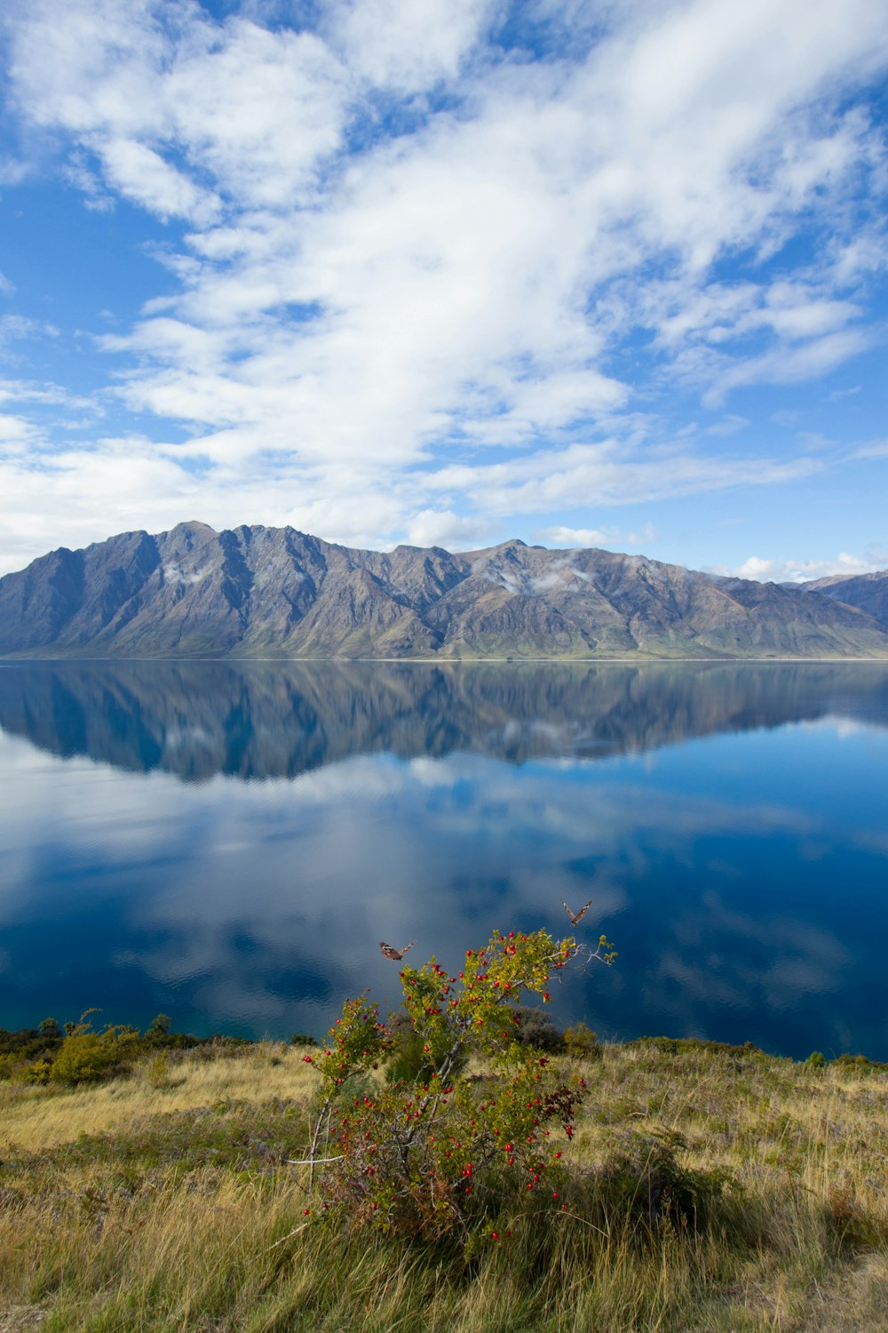 montanhas com reflexo de água sob dia nublado